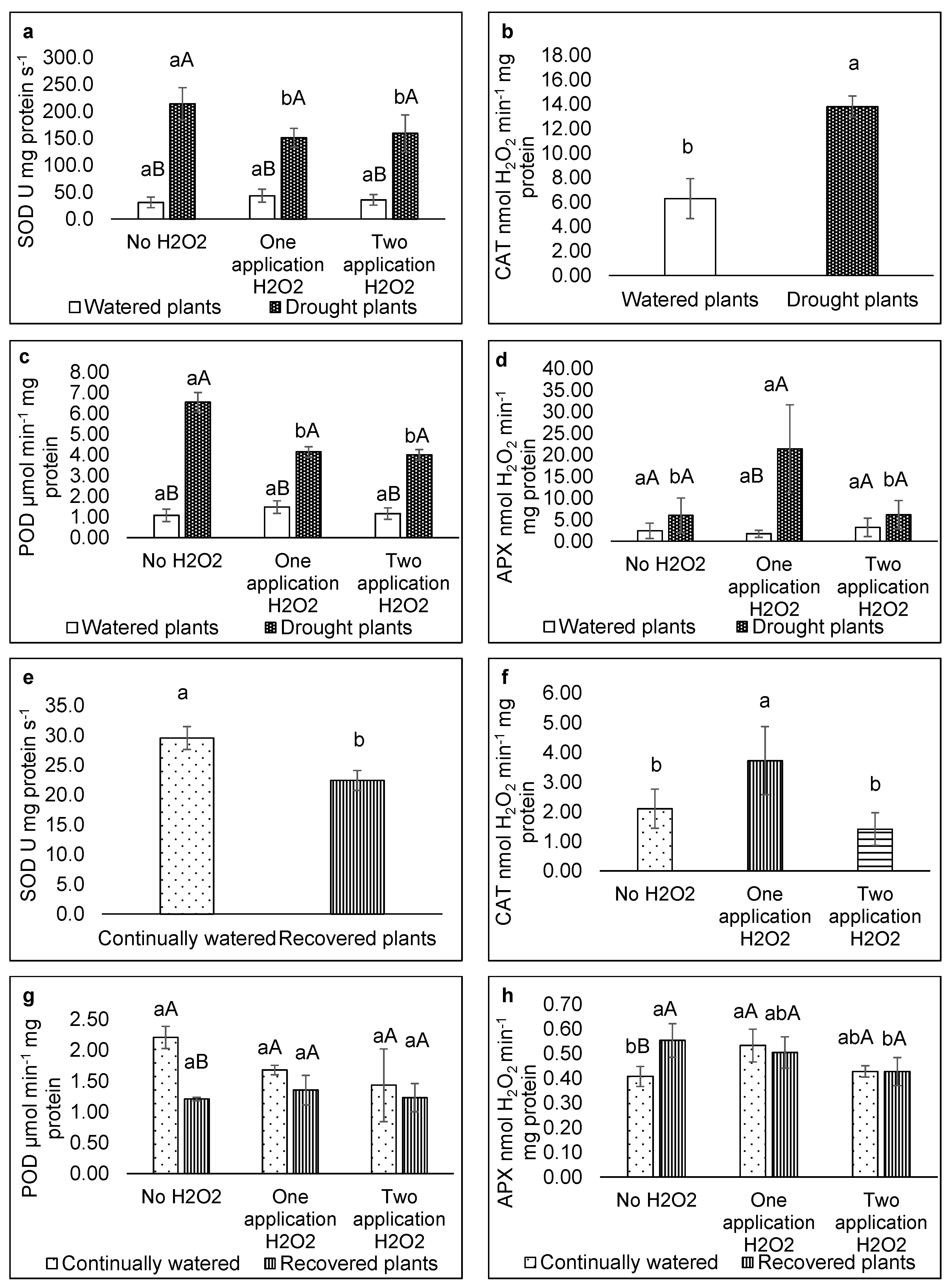 Agriculture 14 01572 g005