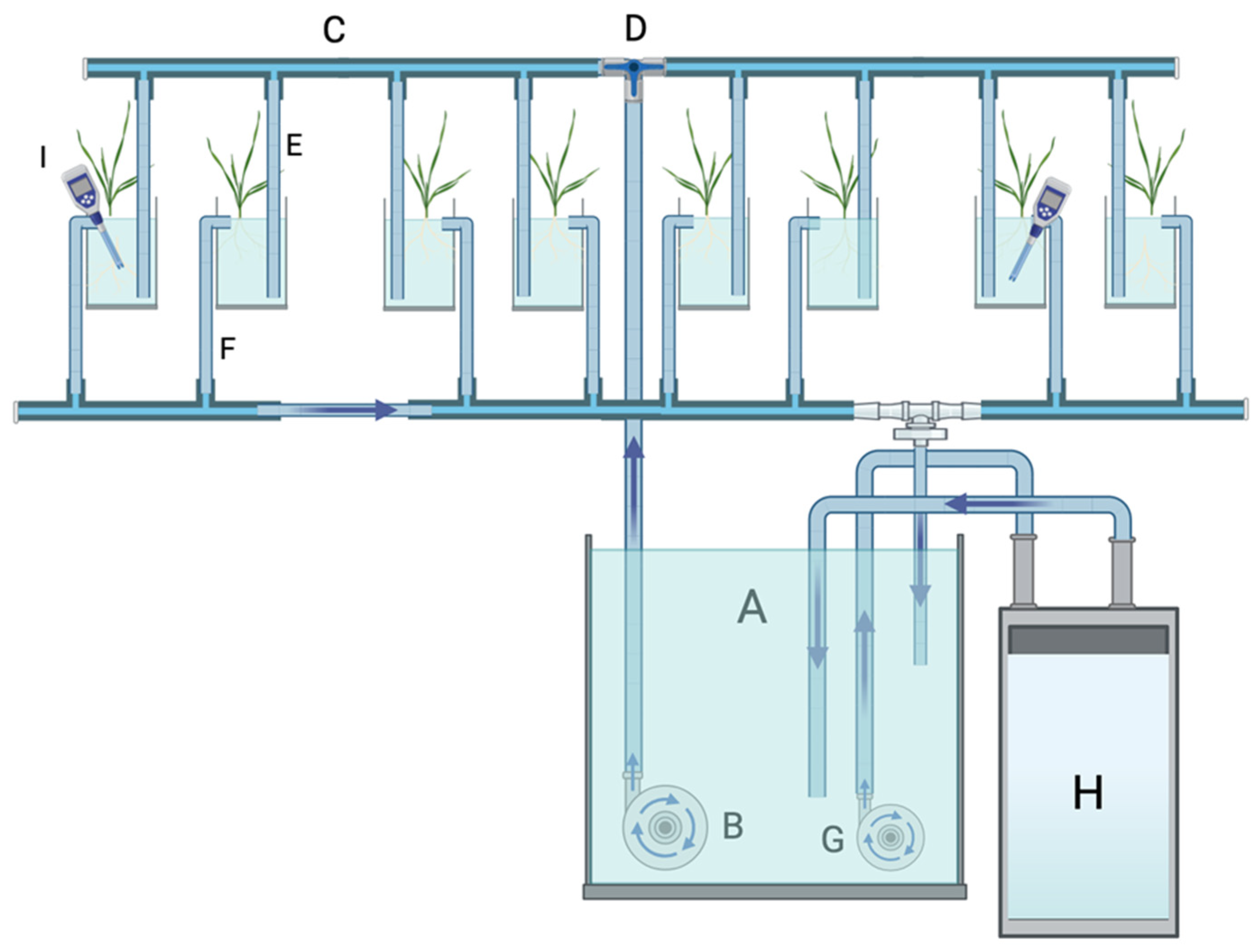 Agriculture 14 01574 g001 Agriculture 14 01574 g001