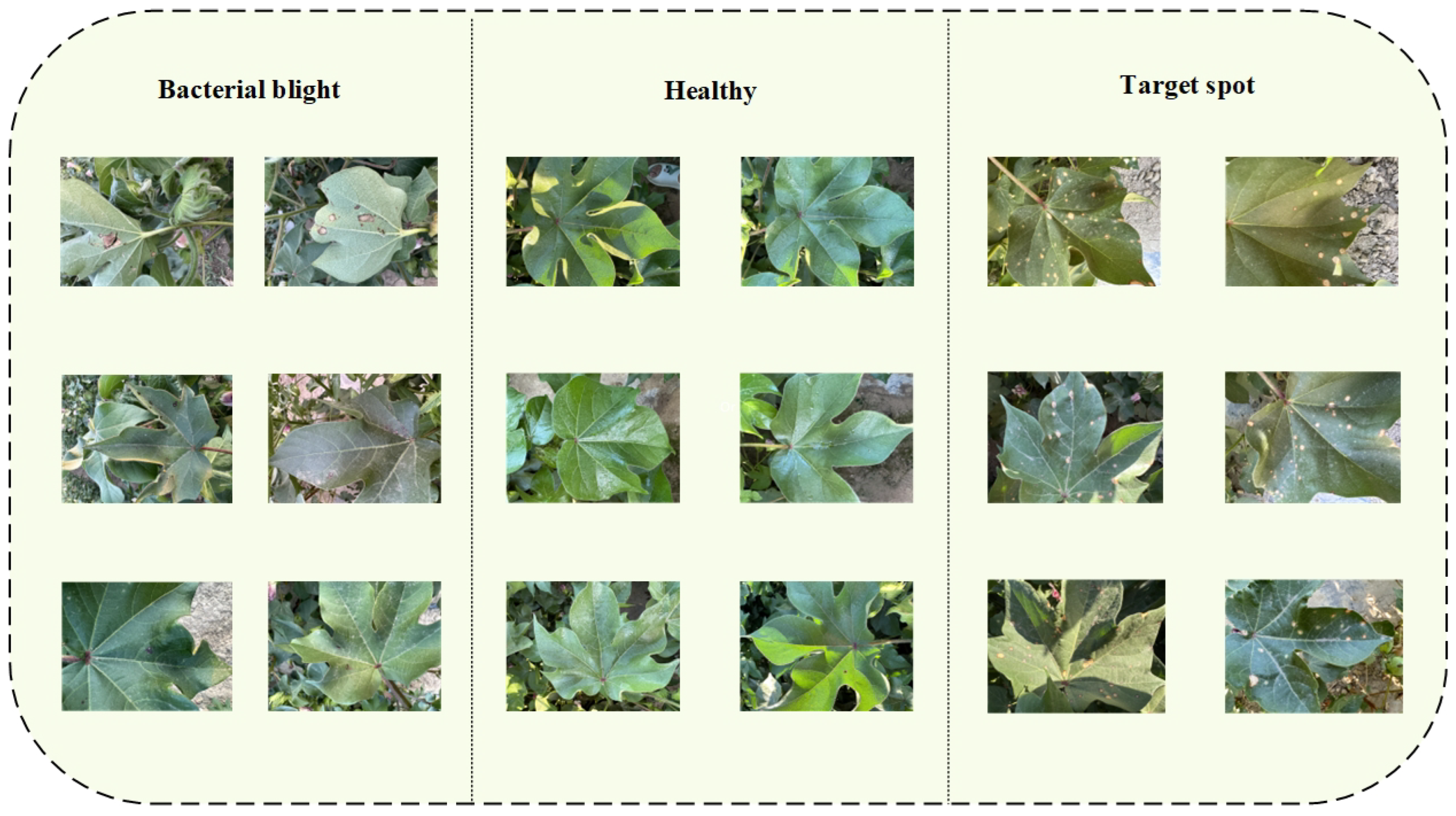 Agriculture 14 01577 g001