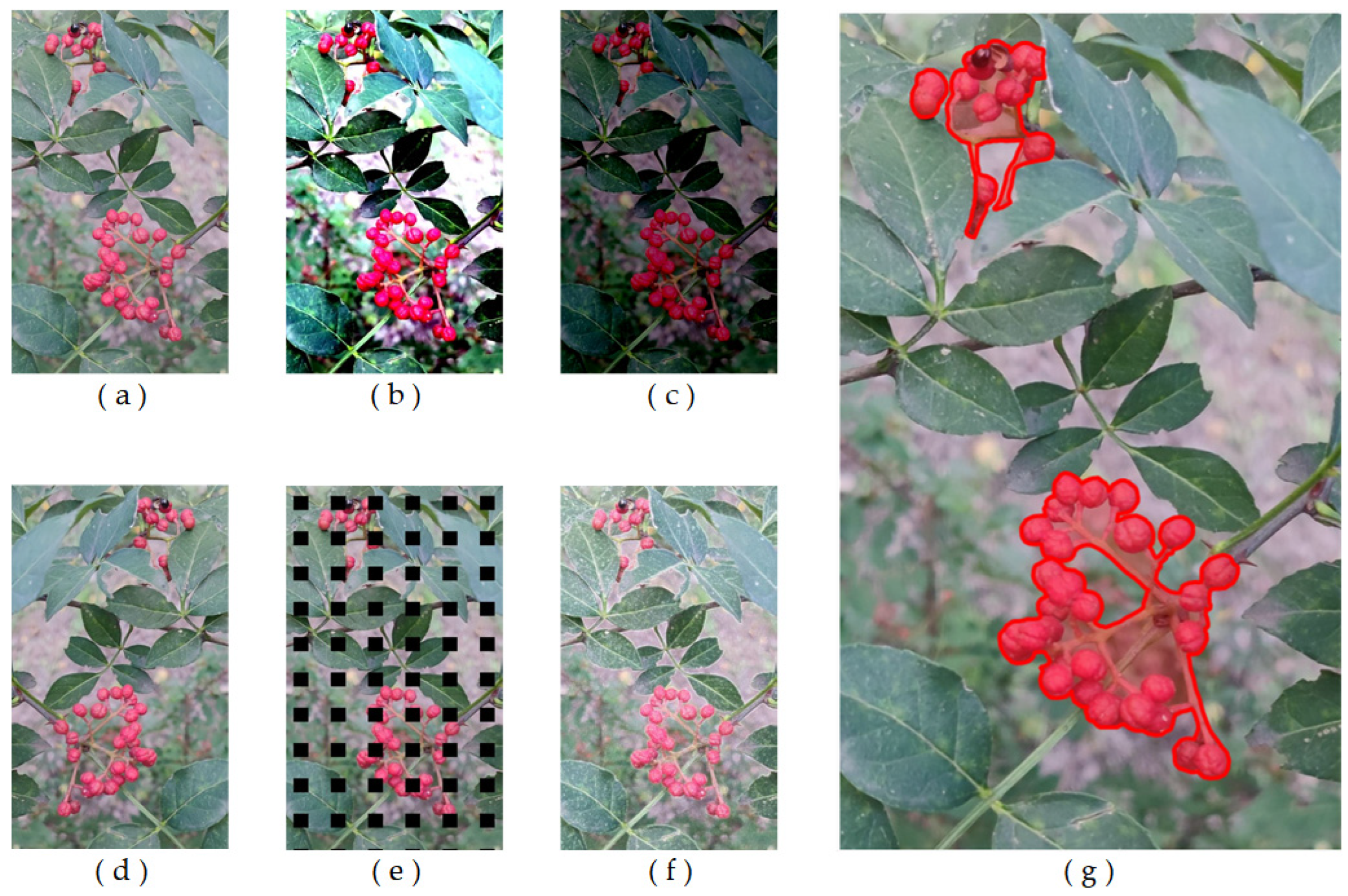 Agriculture 14 01585 g002