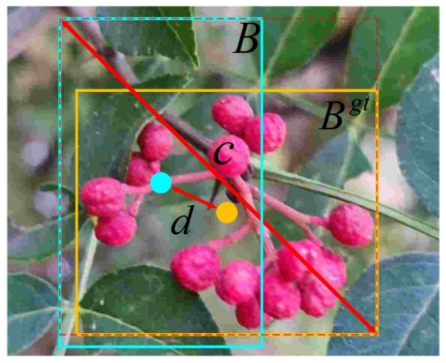 Agriculture 14 01585 g009