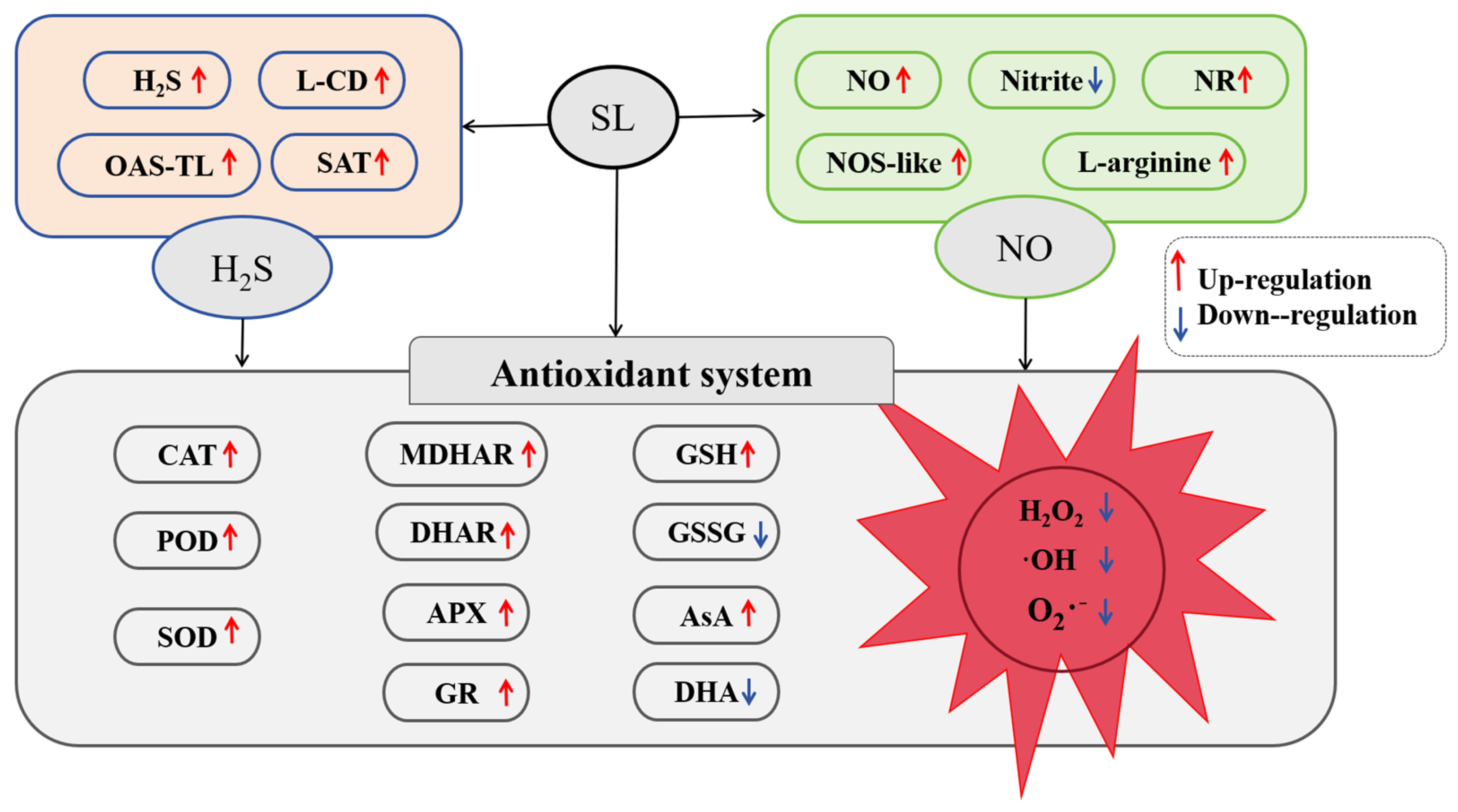 GA No.1~77 + GA DETAIL No.1~5 セット Acid-base neutralization strategy for immobilization amino