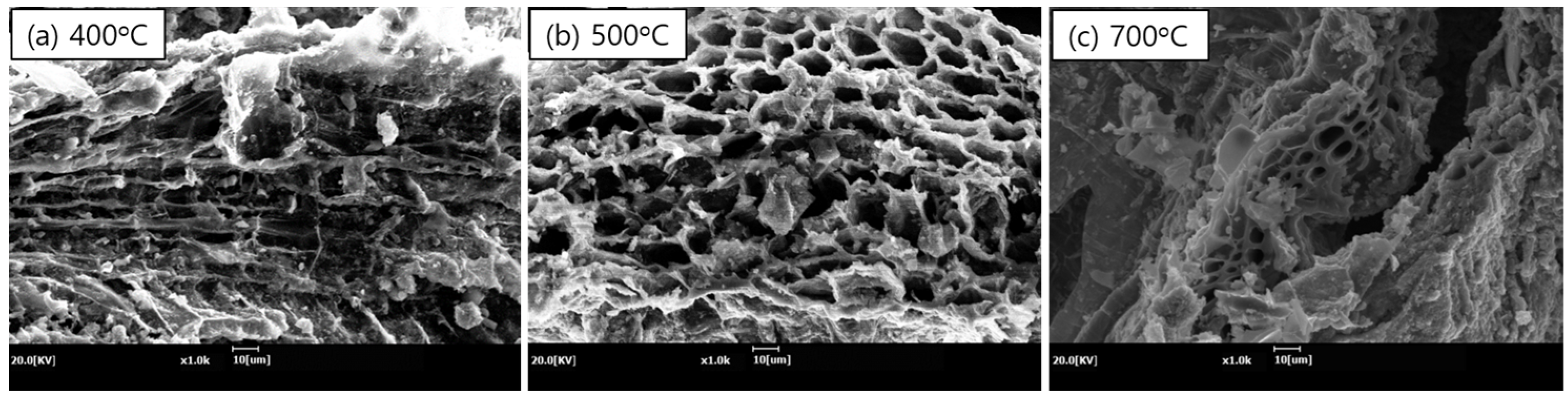 Agriculture 14 01590 g005