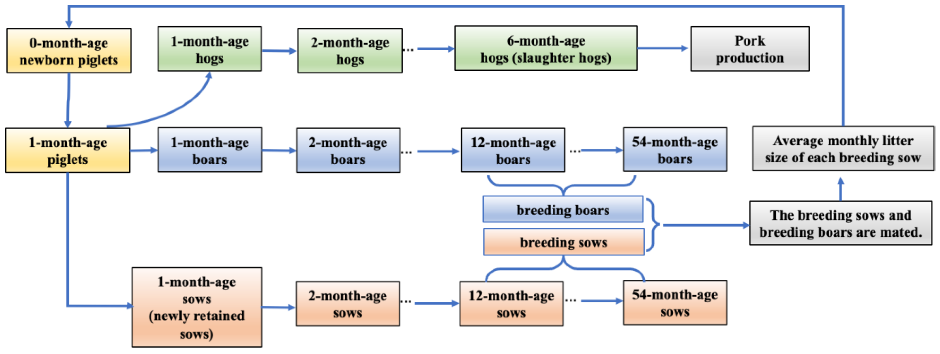 Agriculture 14 01592 g001