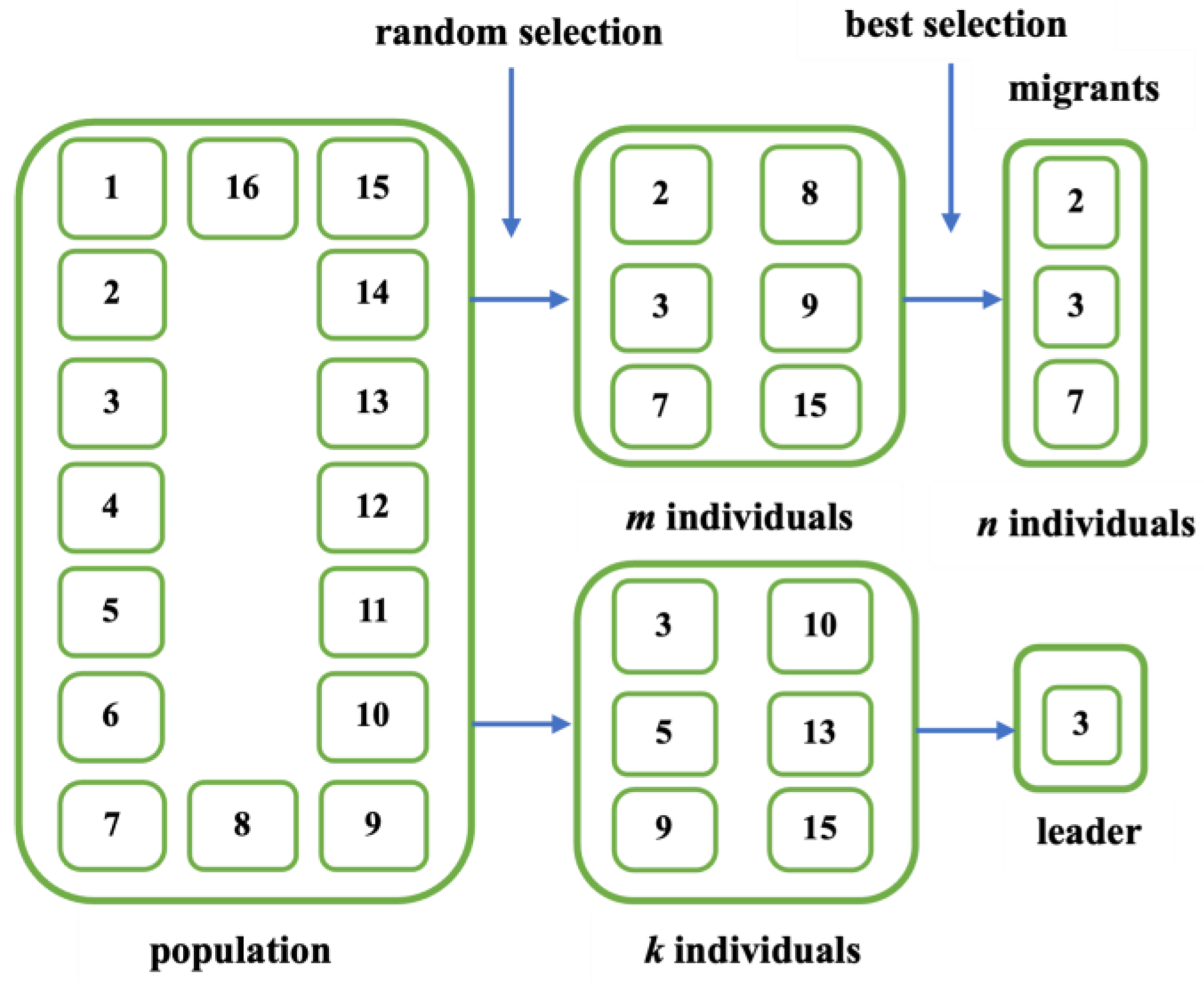 Agriculture 14 01592 g003