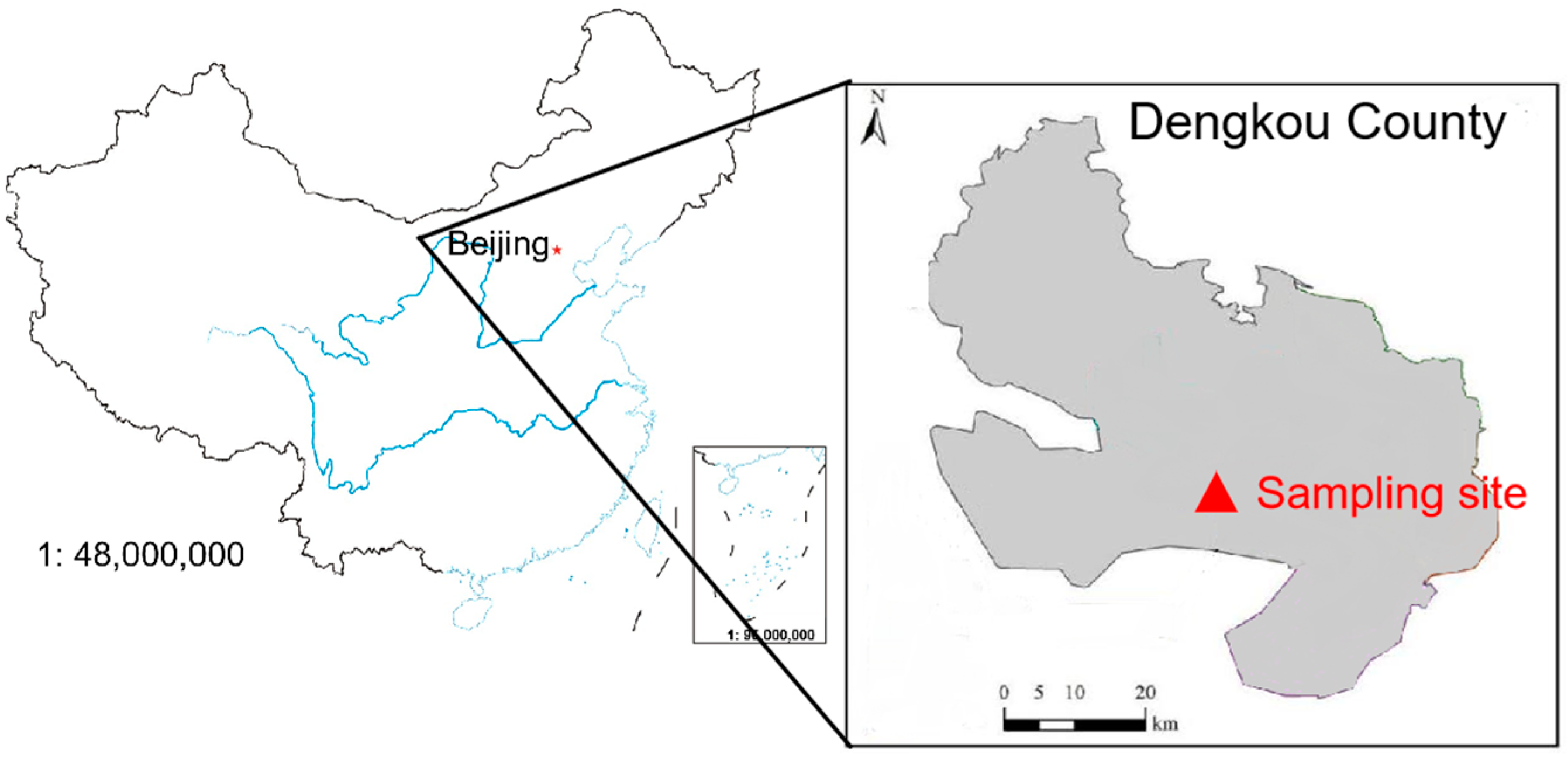 Agriculture 14 01606 g001