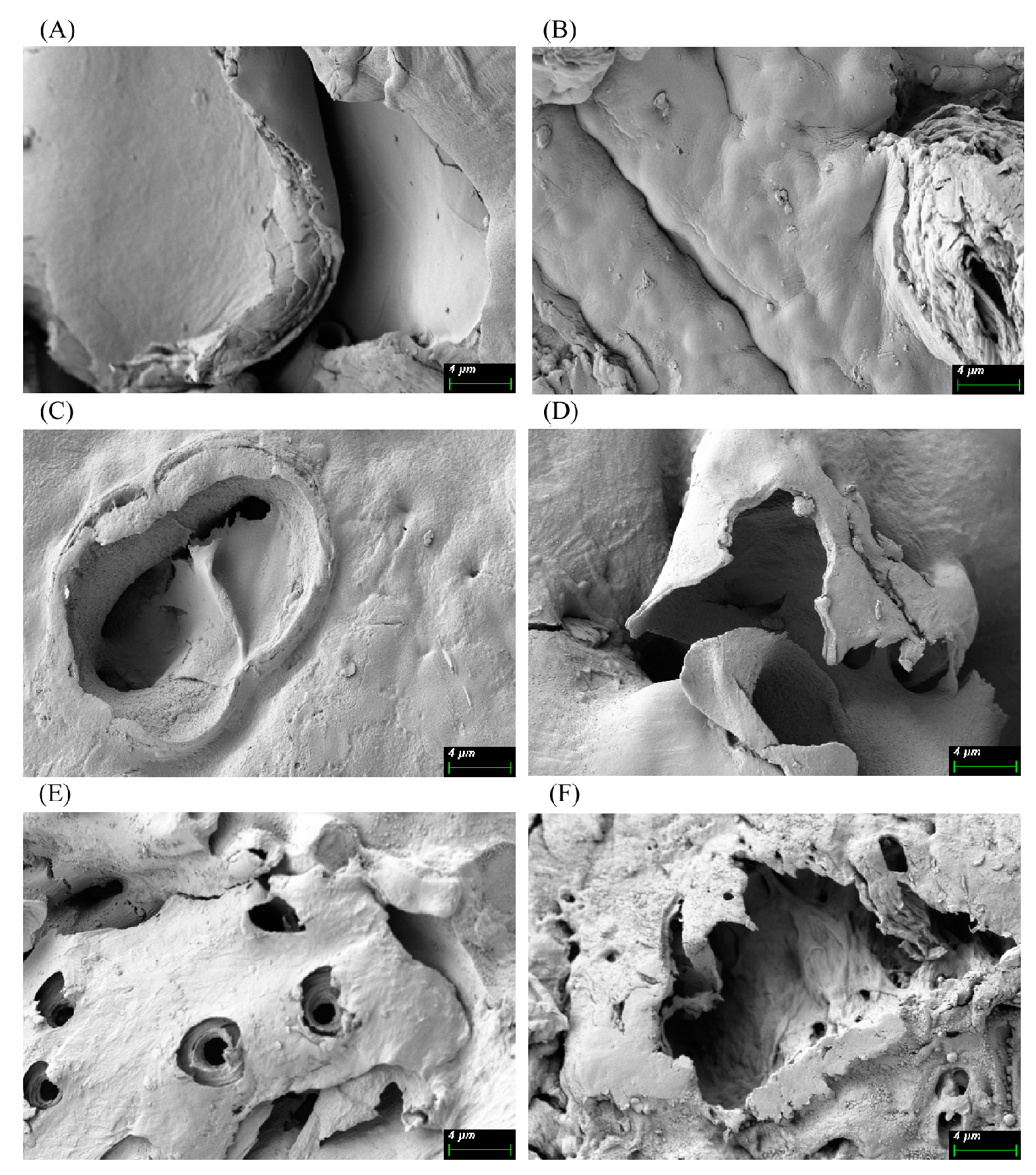Agriculture 14 01610 g003
