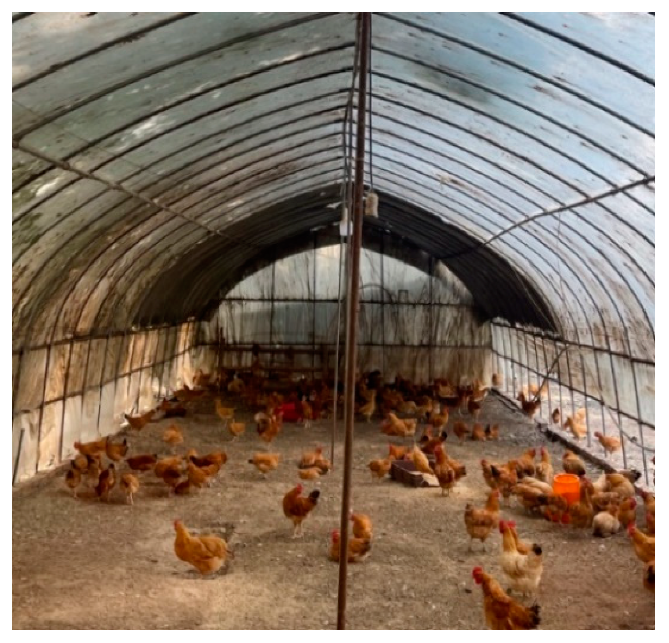 Agriculture 14 01614 g001