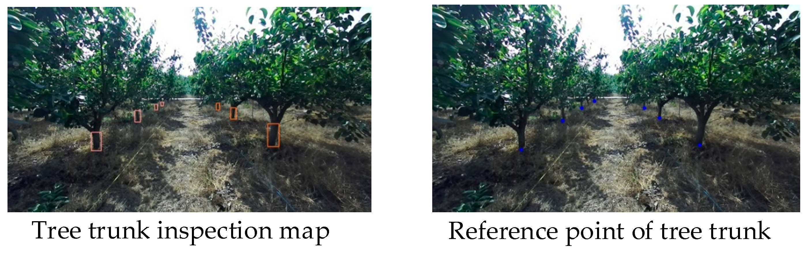 Agriculture 14 01622 g006