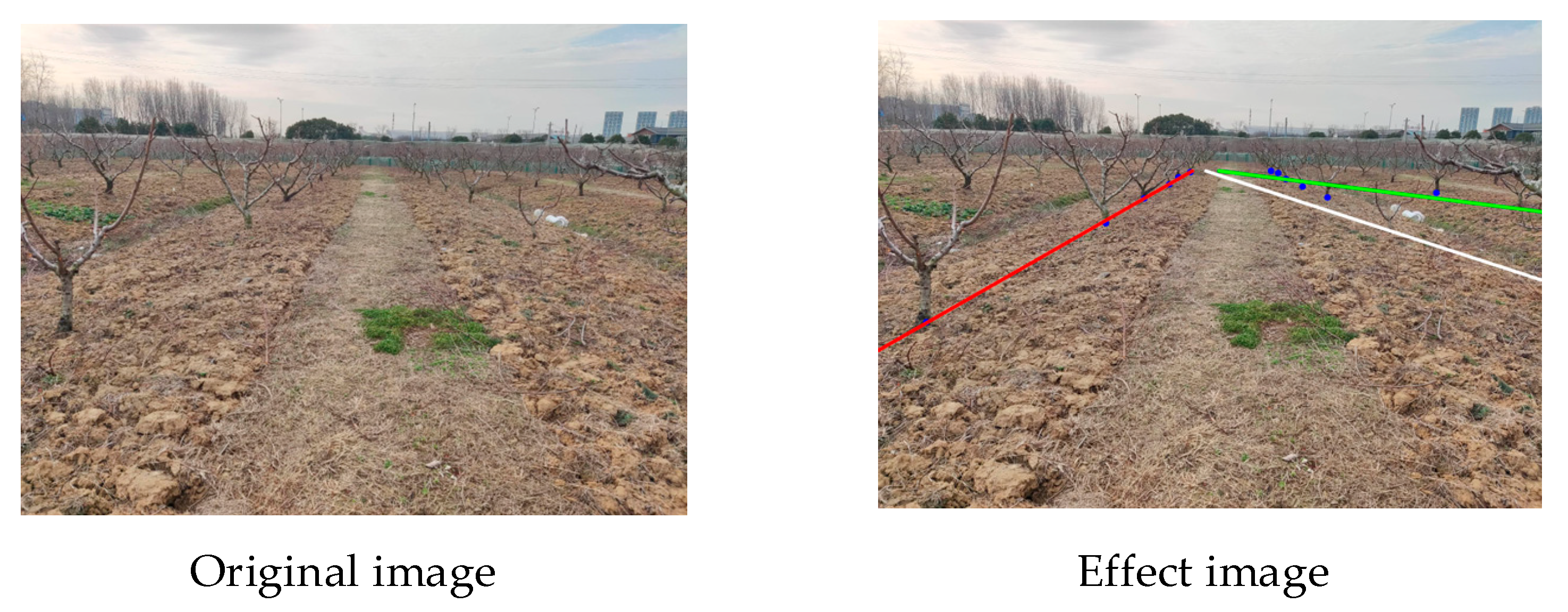 Agriculture 14 01622 g008