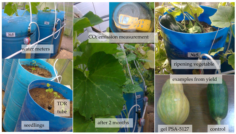 Agriculture 14 01623 i002