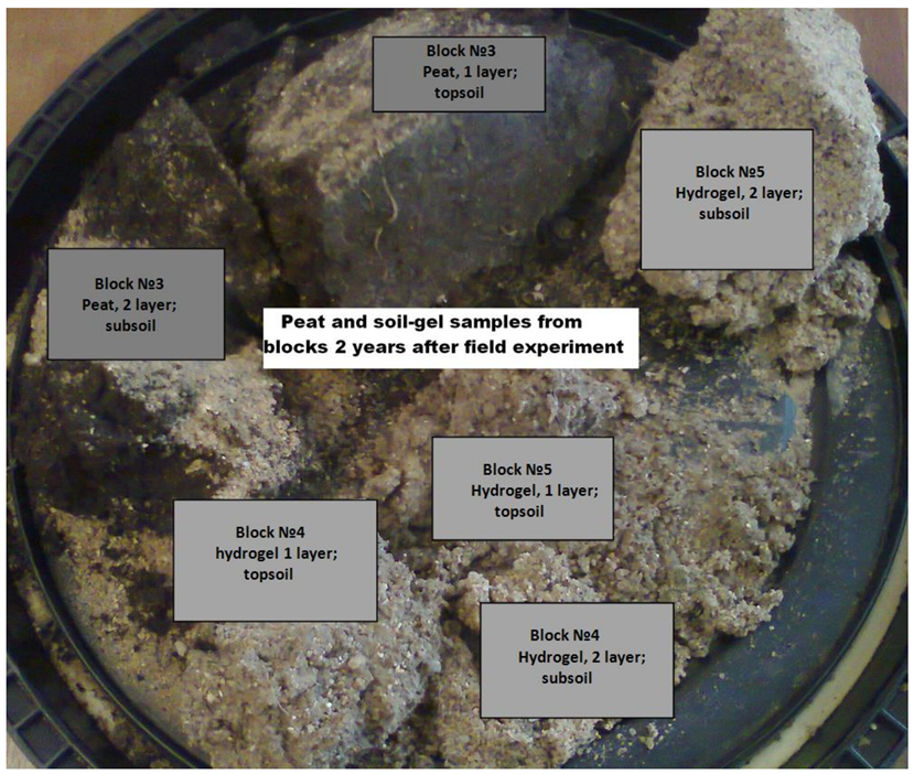 Agriculture 14 01623 i003
