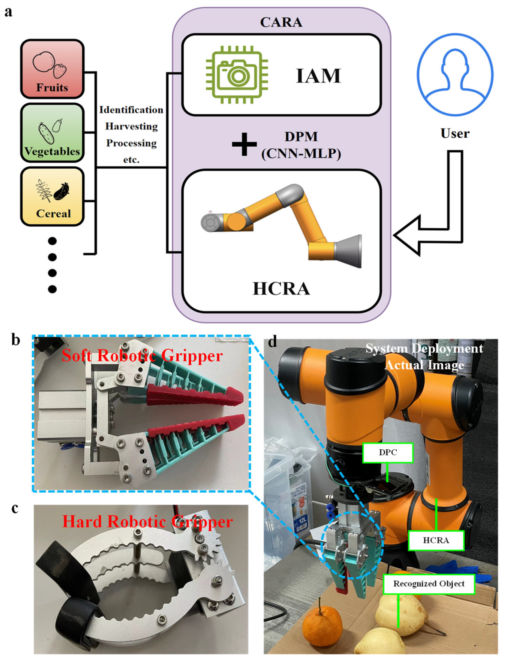 Agriculture 14 01624 g004