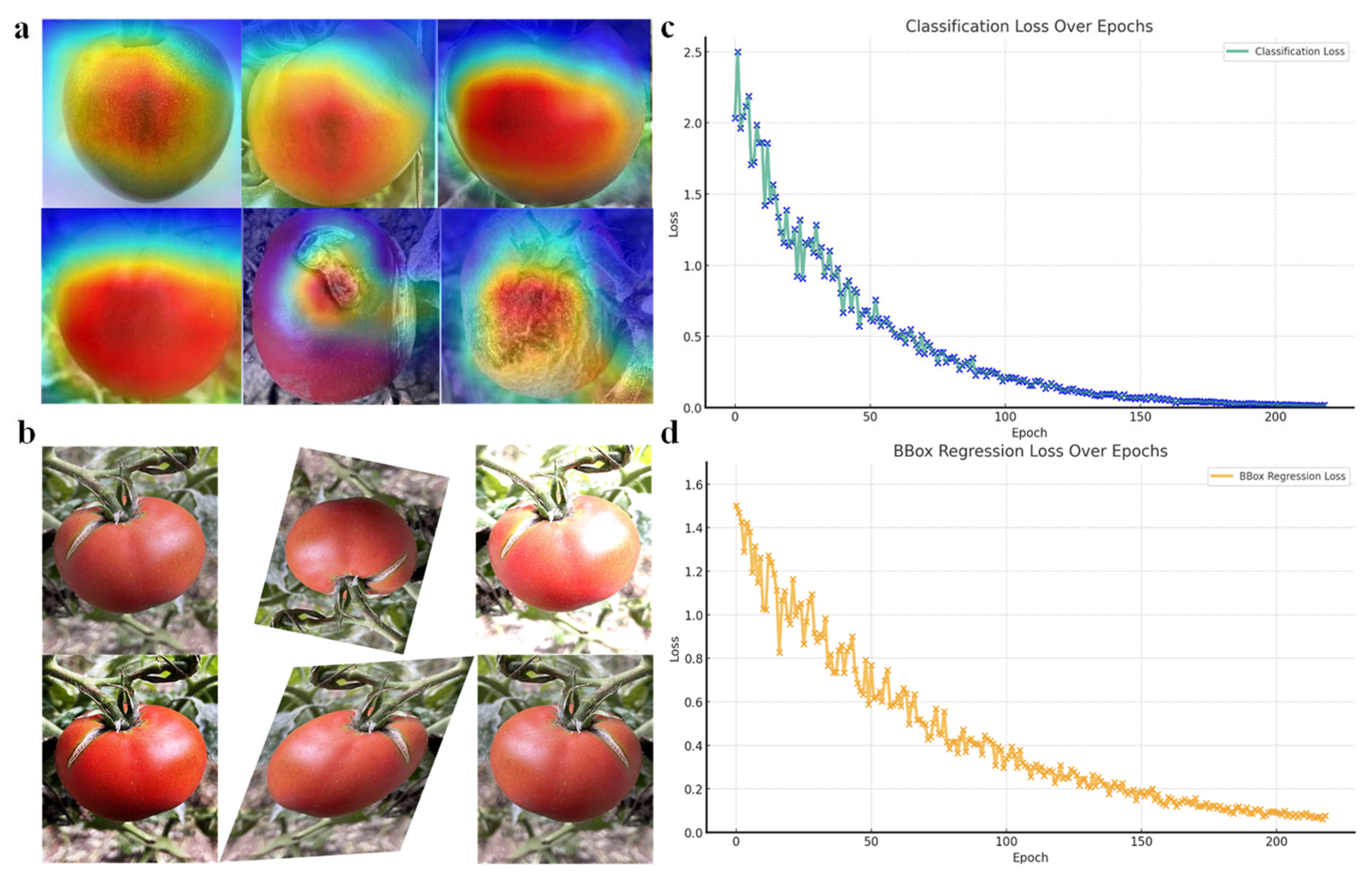 Agriculture 14 01624 g006