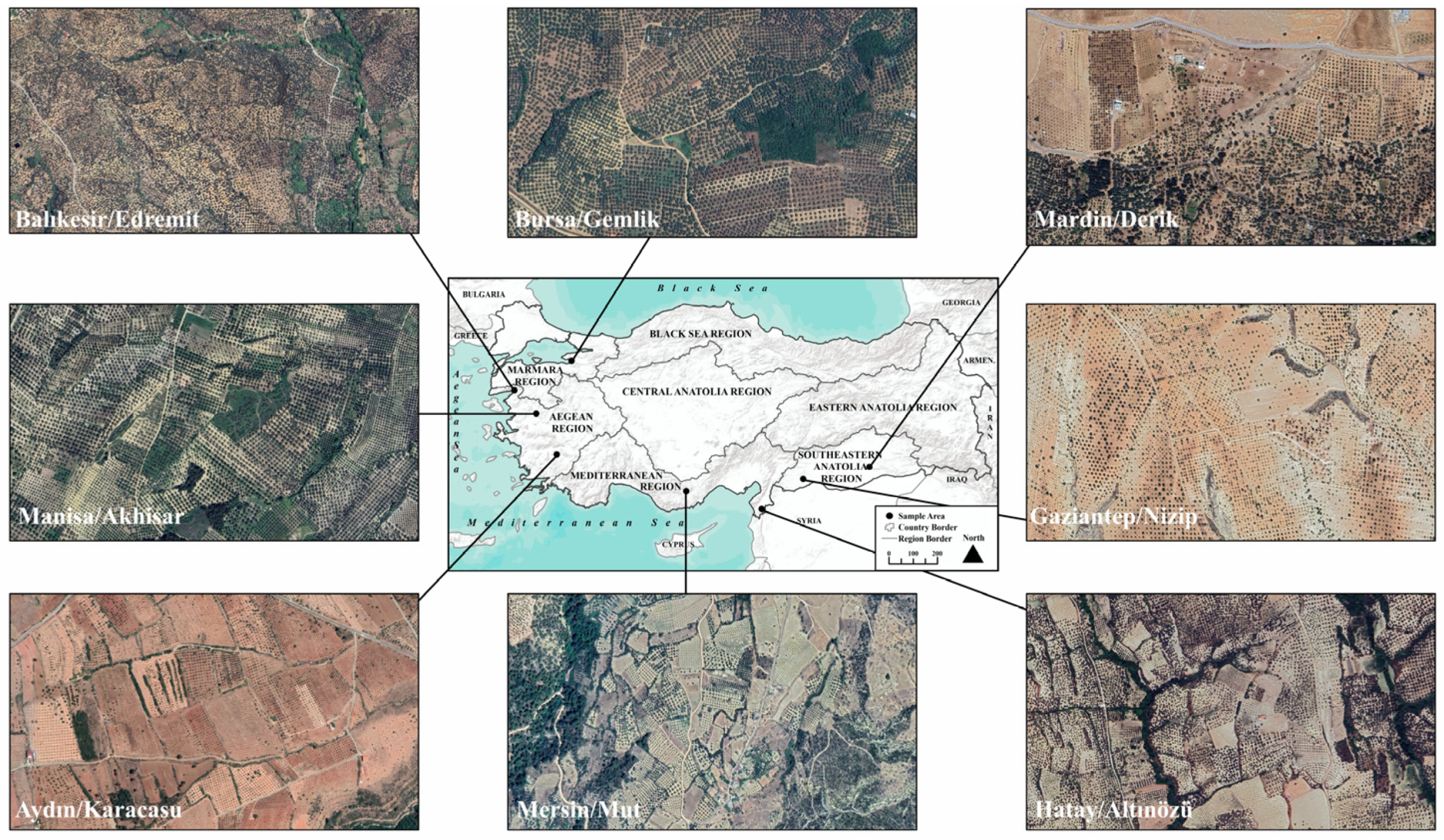 Agriculture 14 01629 g002