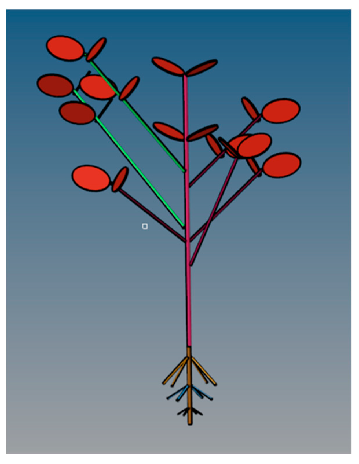 Agriculture 14 01635 g010