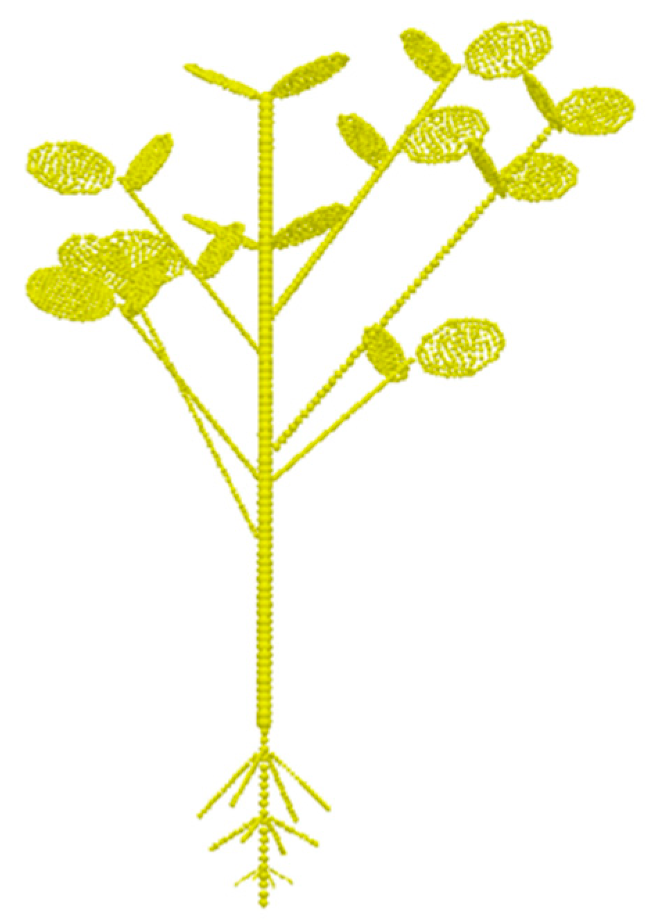 Agriculture 14 01635 g011