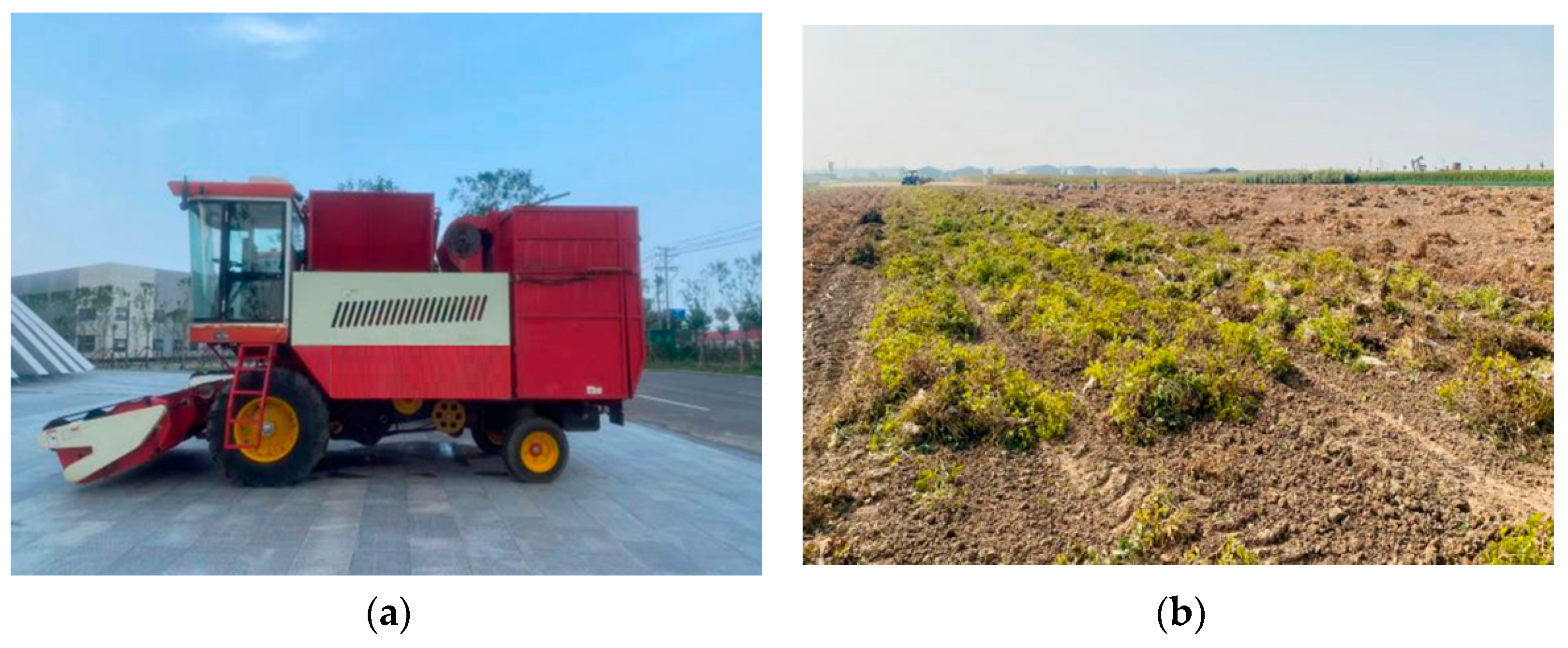 Agriculture 14 01635 g016