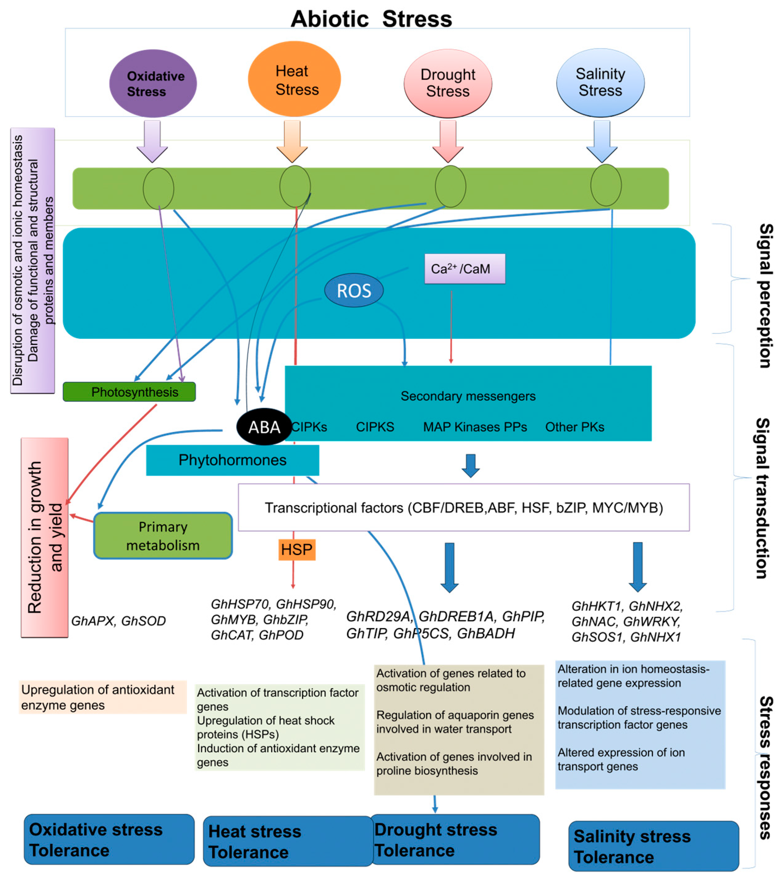 Agriculture 14 01638 g001