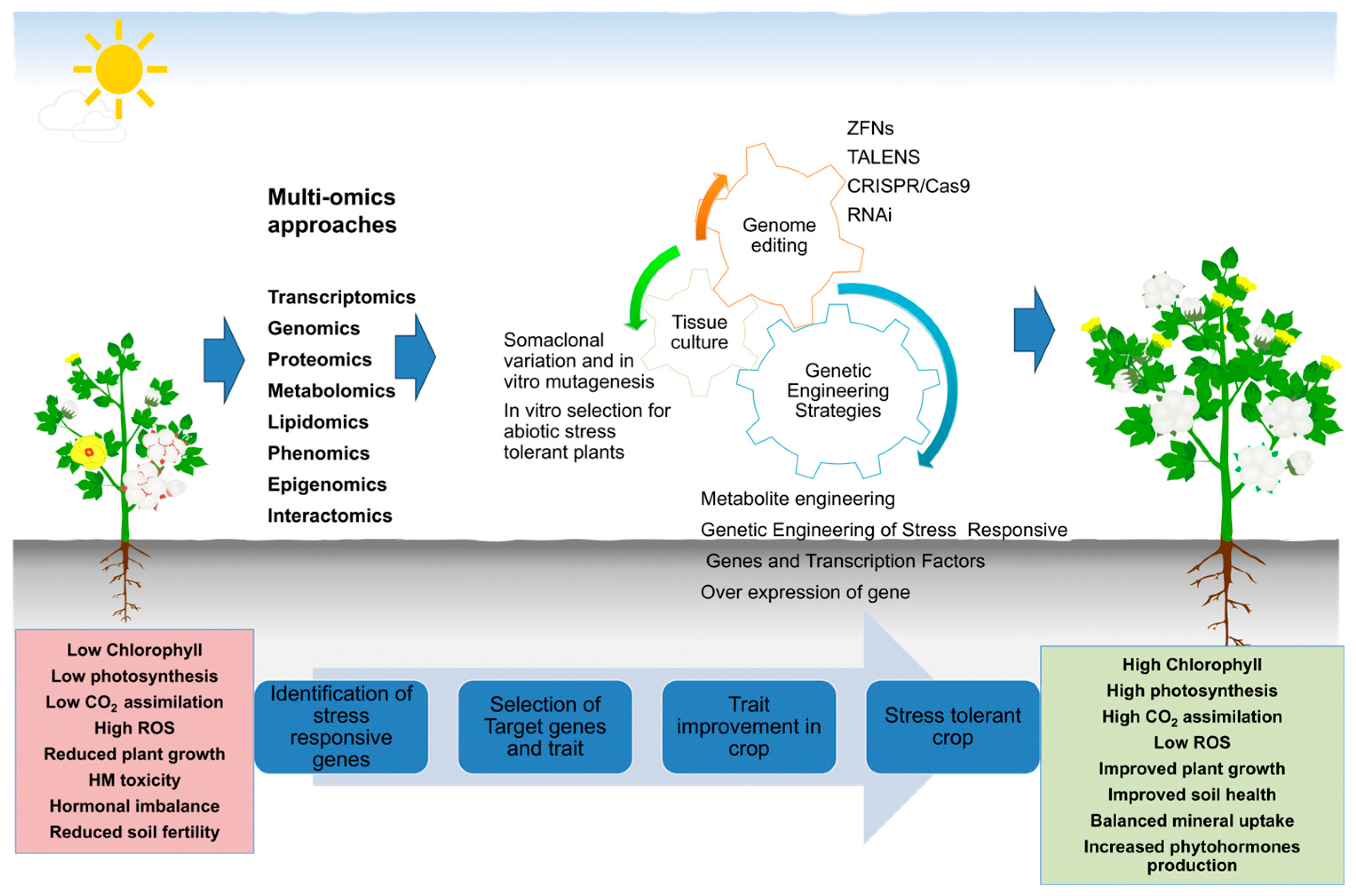 Agriculture 14 01638 g002