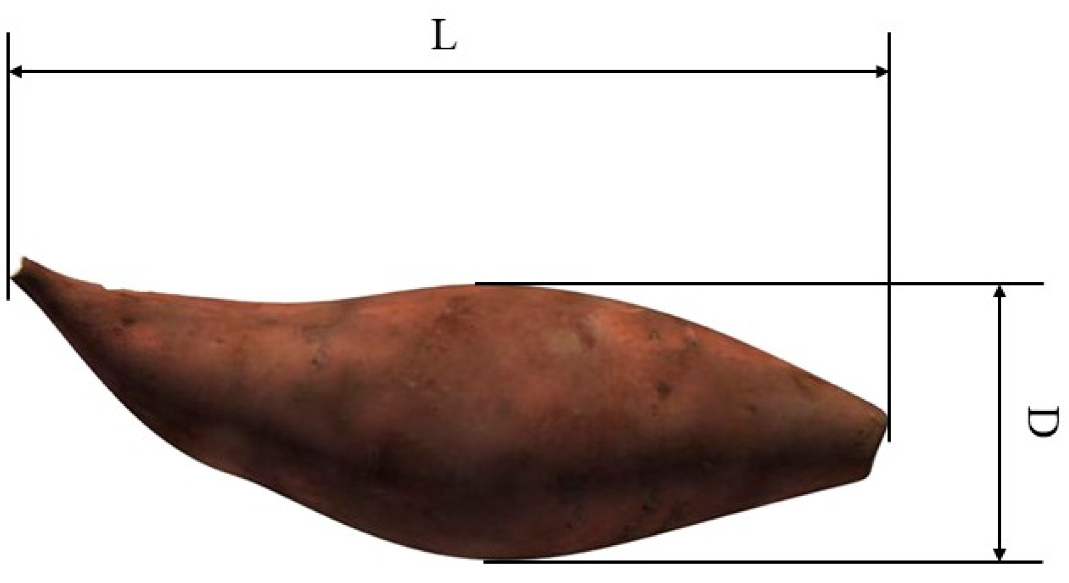 Agriculture 14 01641 g001