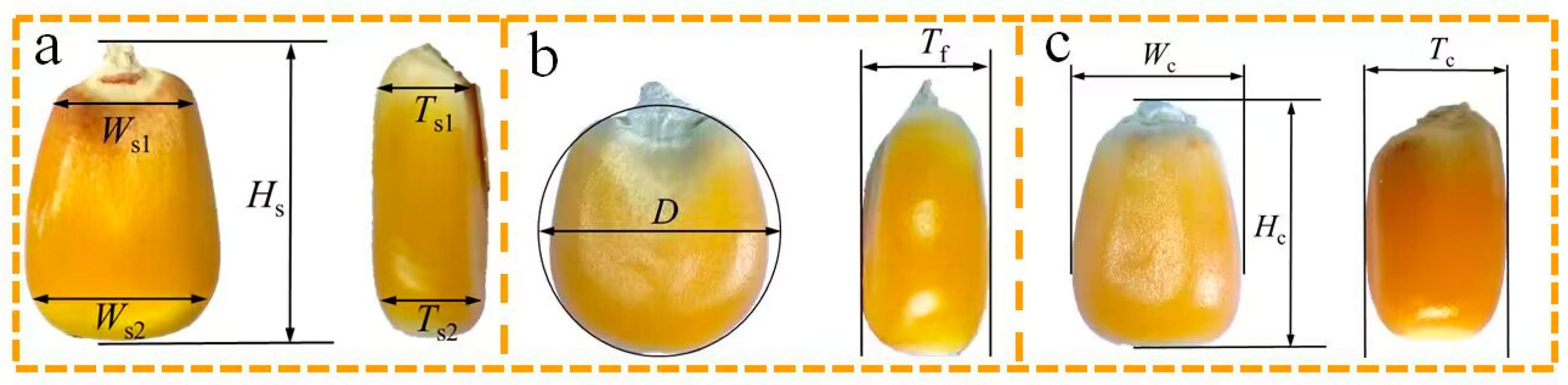 Agriculture 14 01644 g002