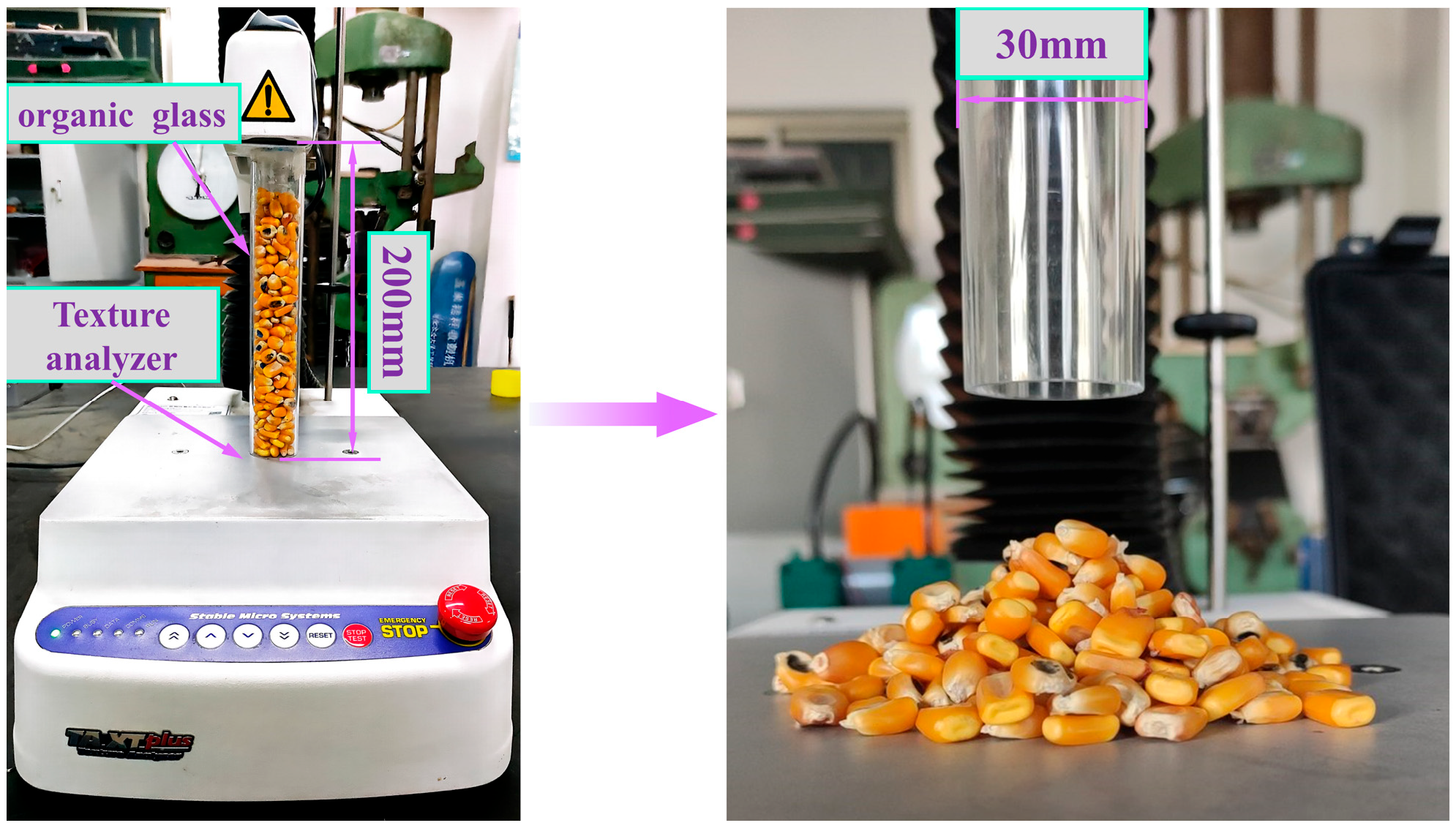 Agriculture 14 01644 g008