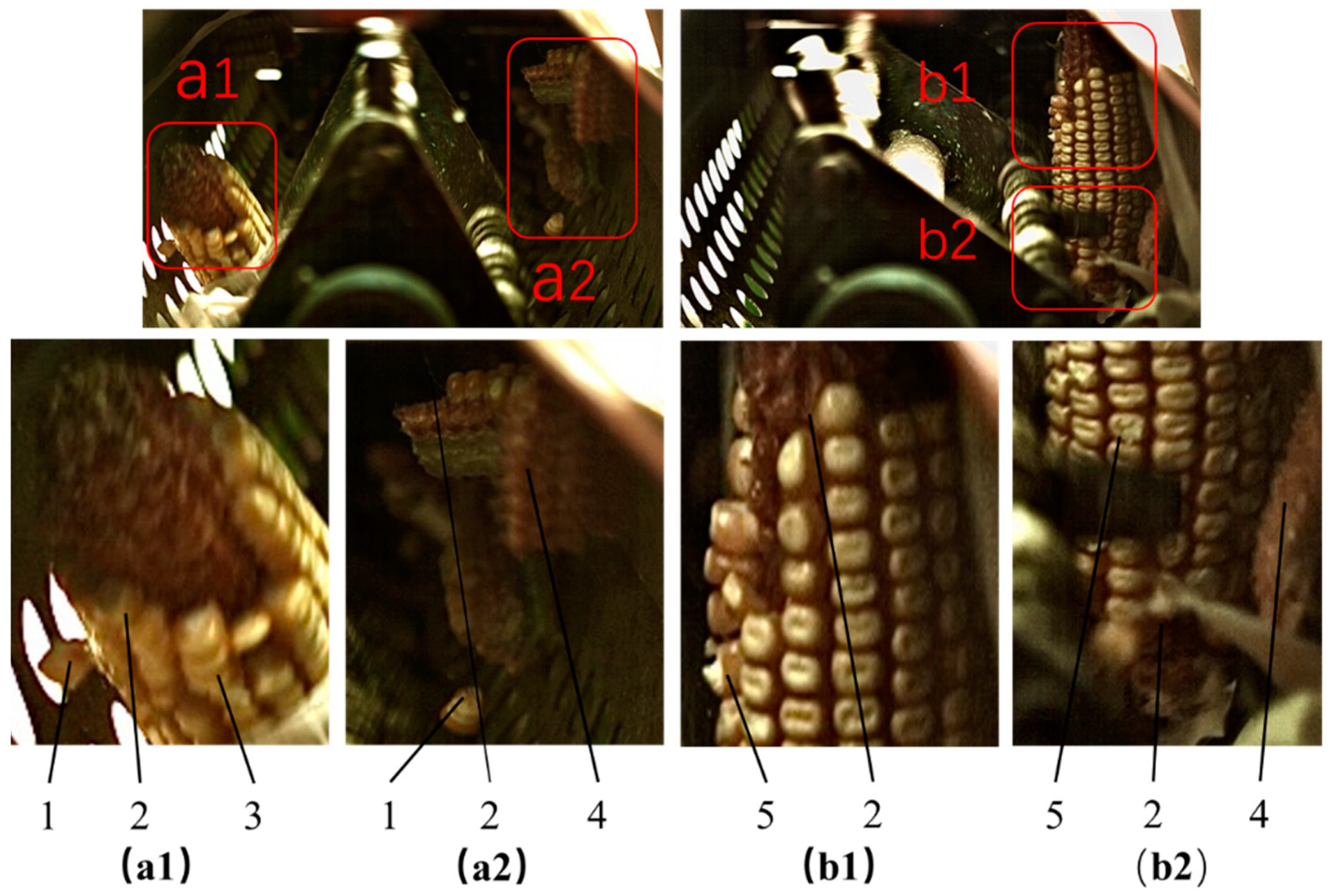 Agriculture 14 01648 g003