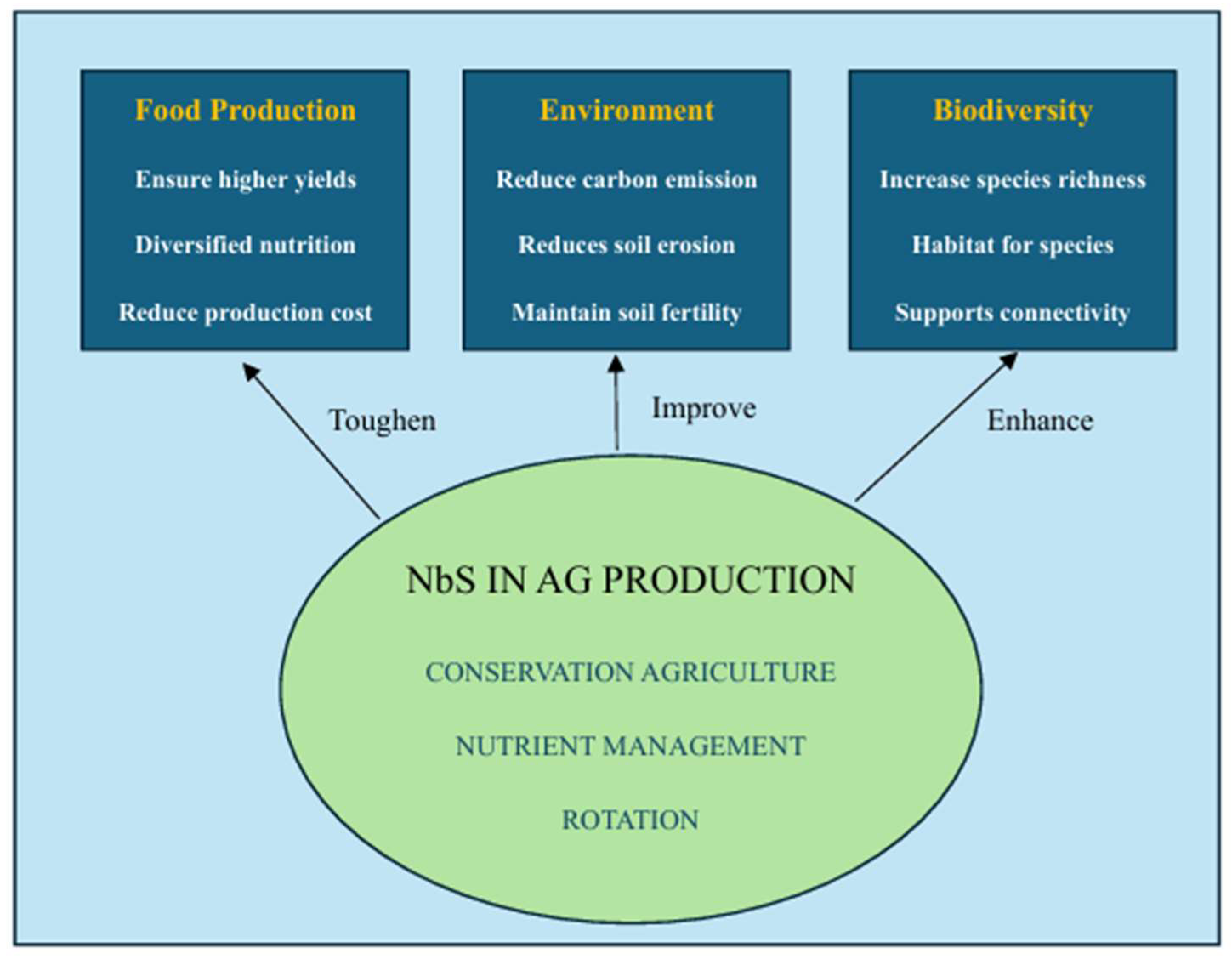 Agriculture 14 01650 g001