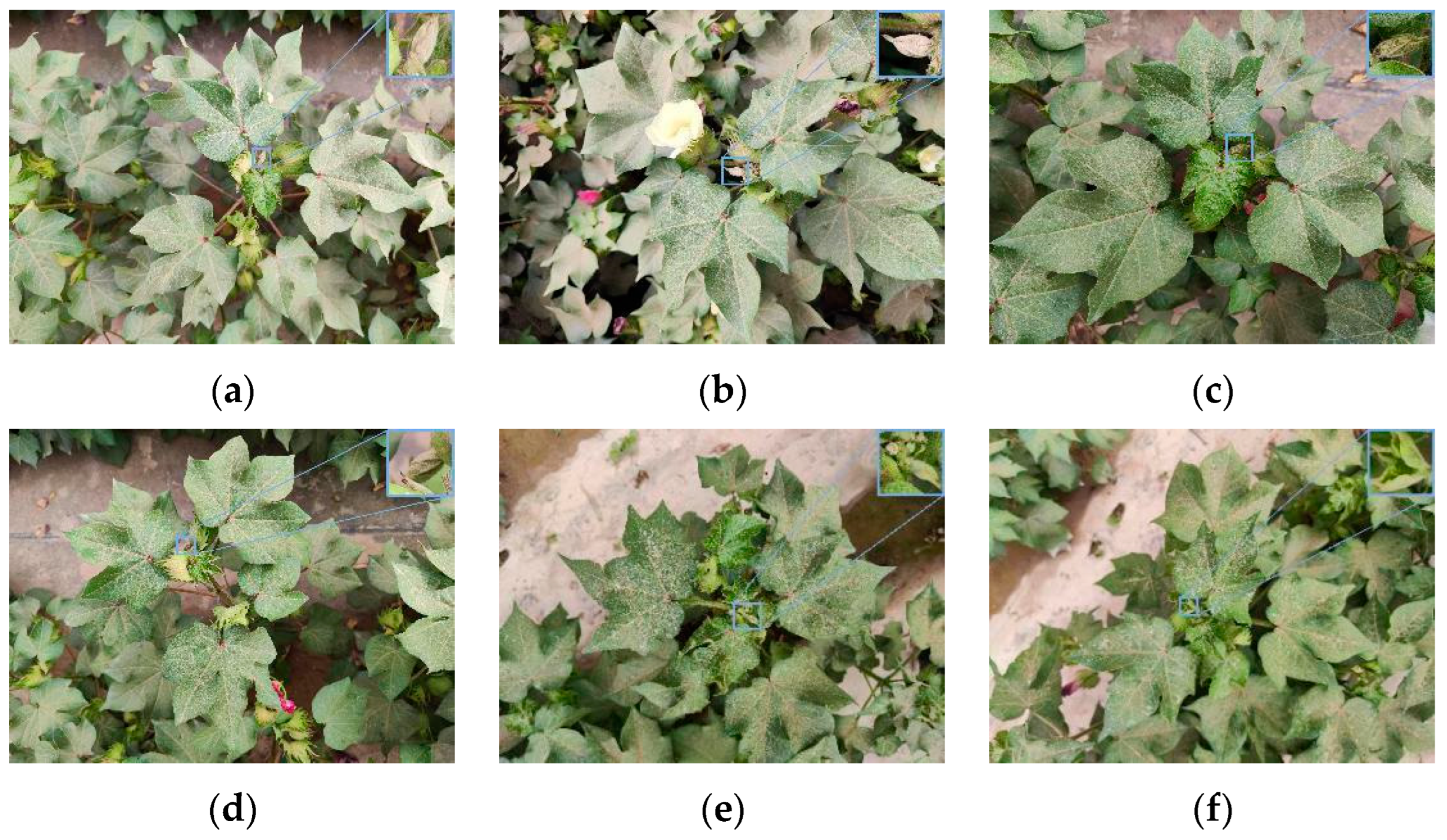 Agriculture 14 01651 g001