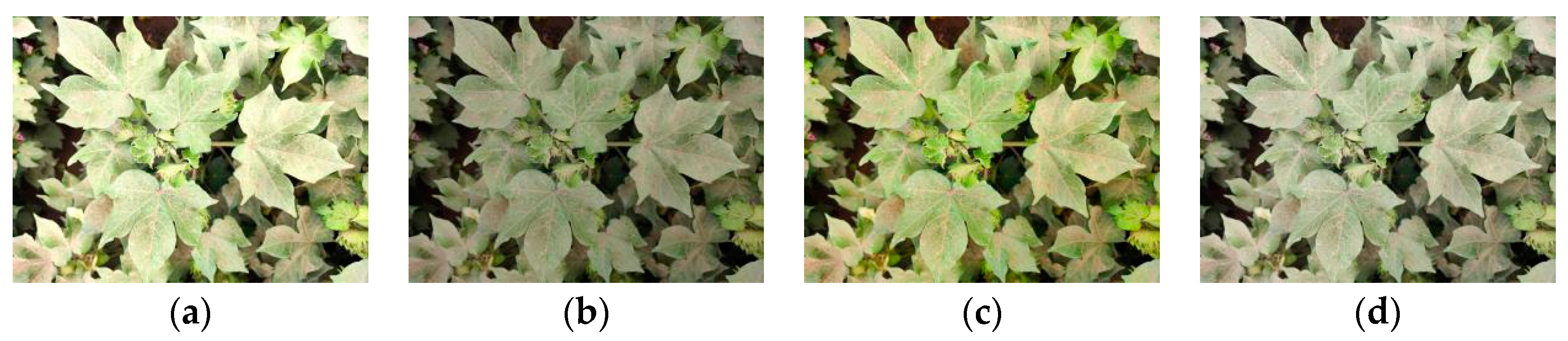 Agriculture 14 01651 g002