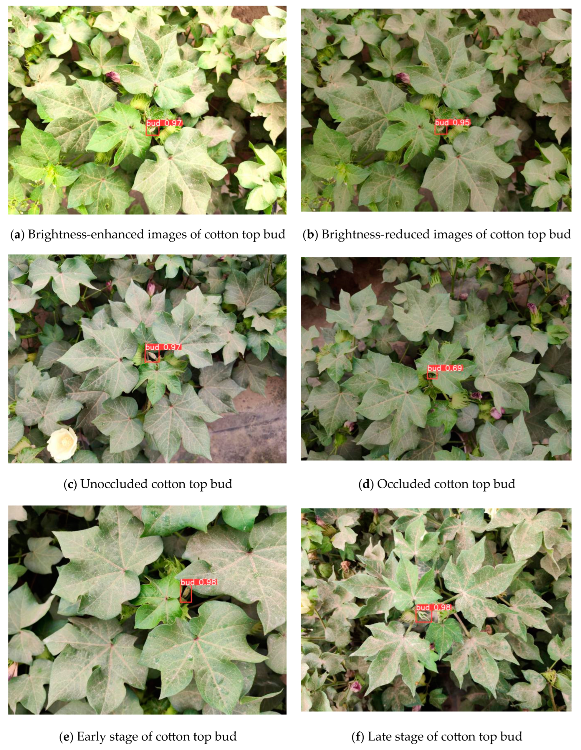 Agriculture 14 01651 g008