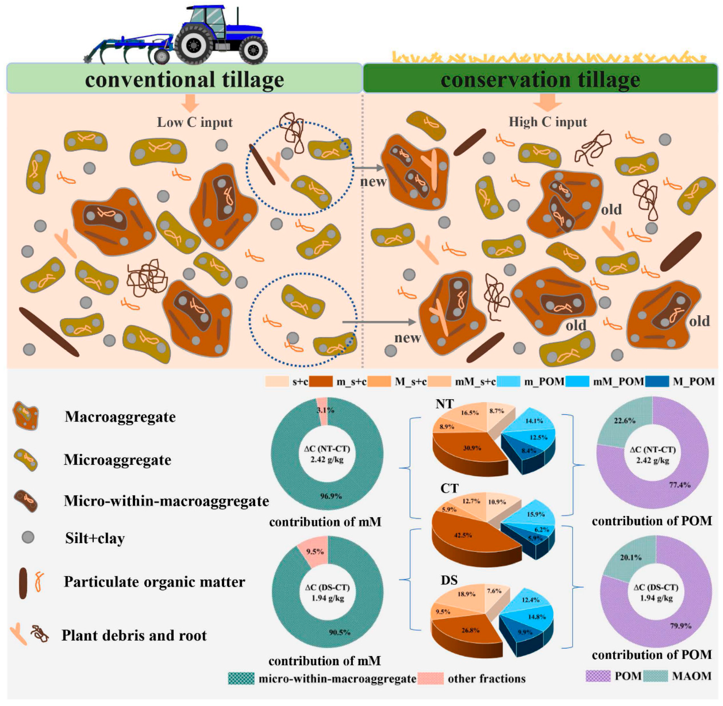 Agriculture 14 01659 g008
