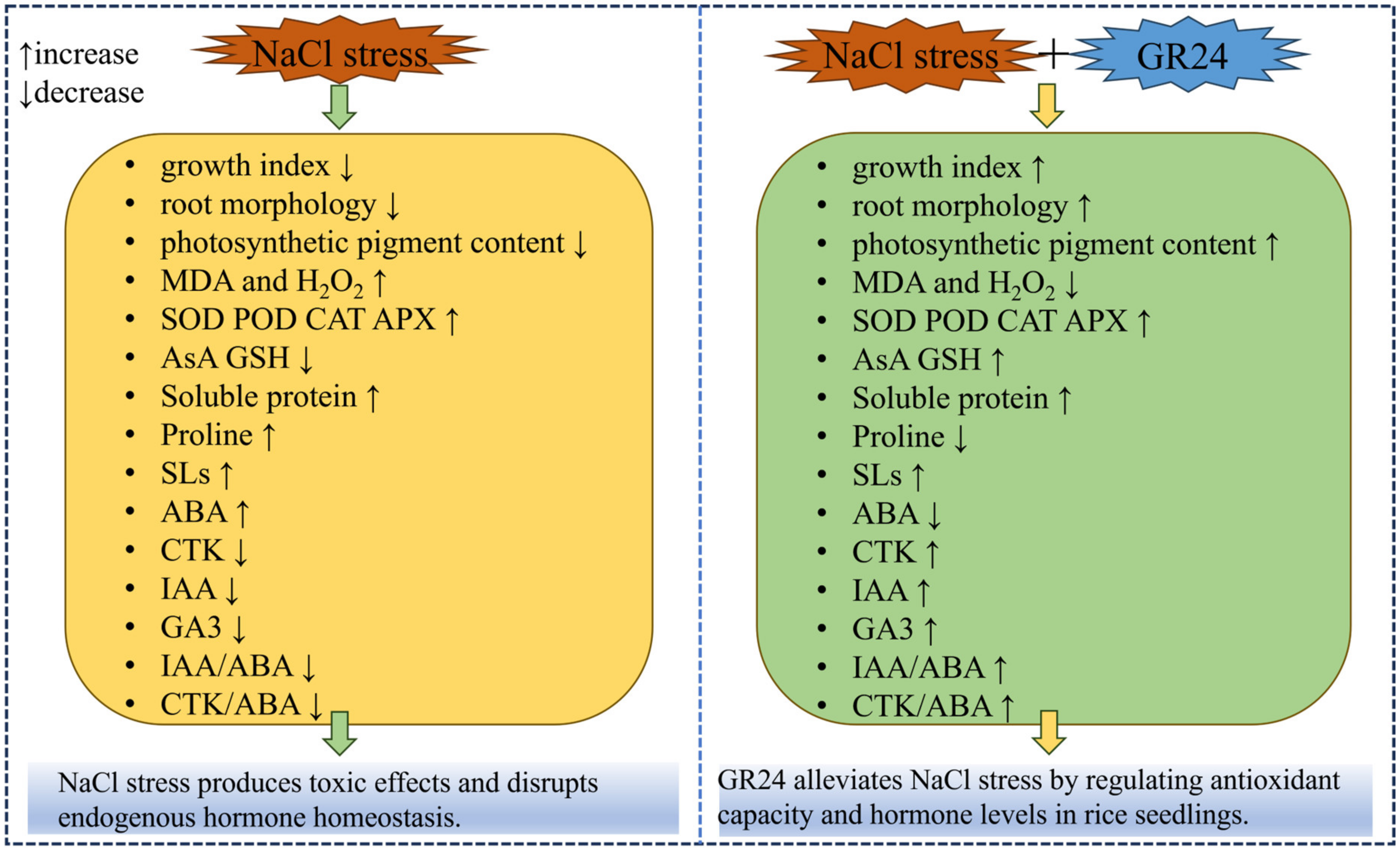 Agriculture 14 01662 g008