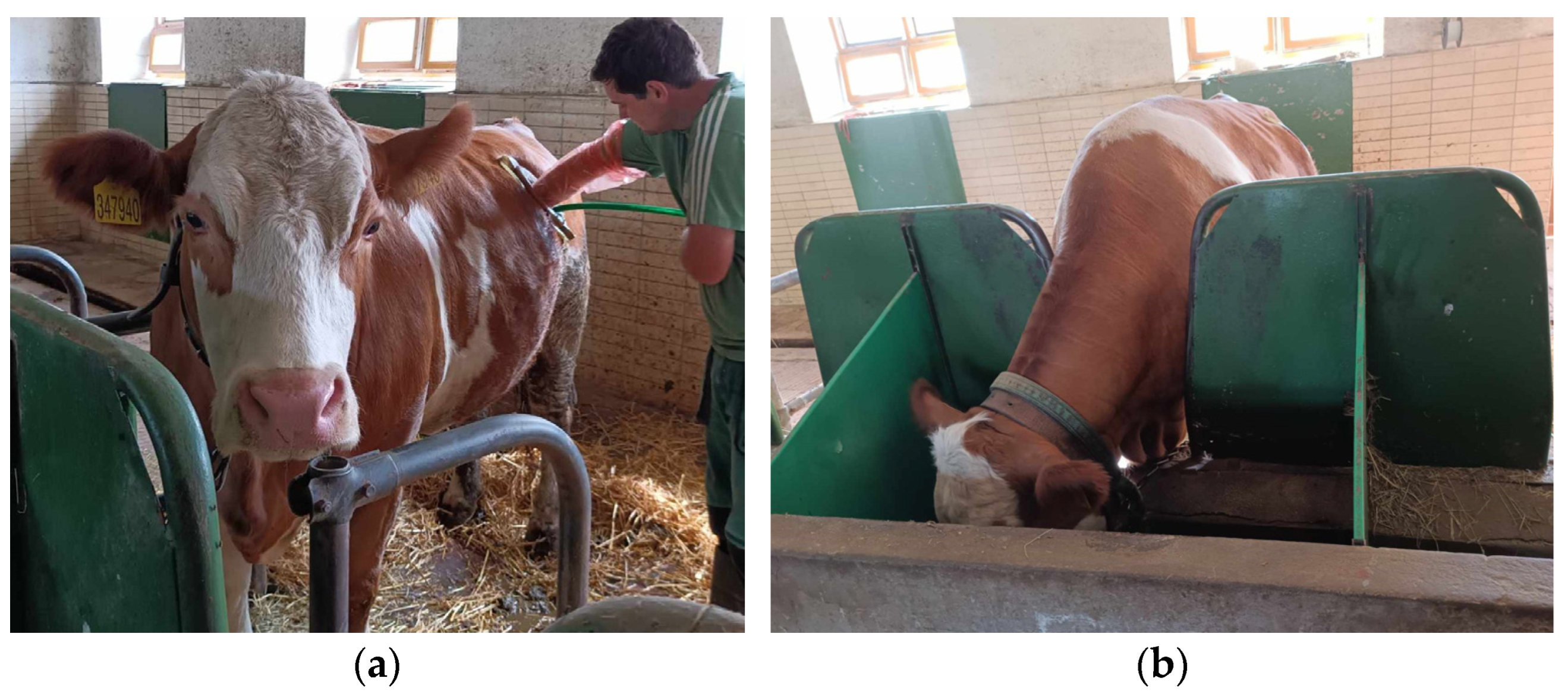 Agriculture 14 01663 g001