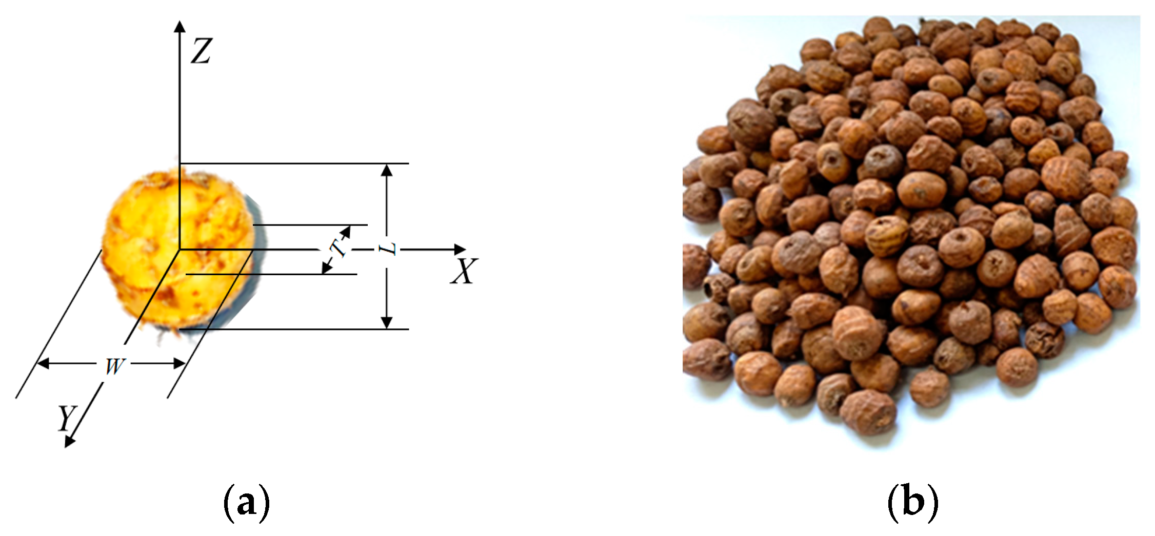 Agriculture 14 01673 g009