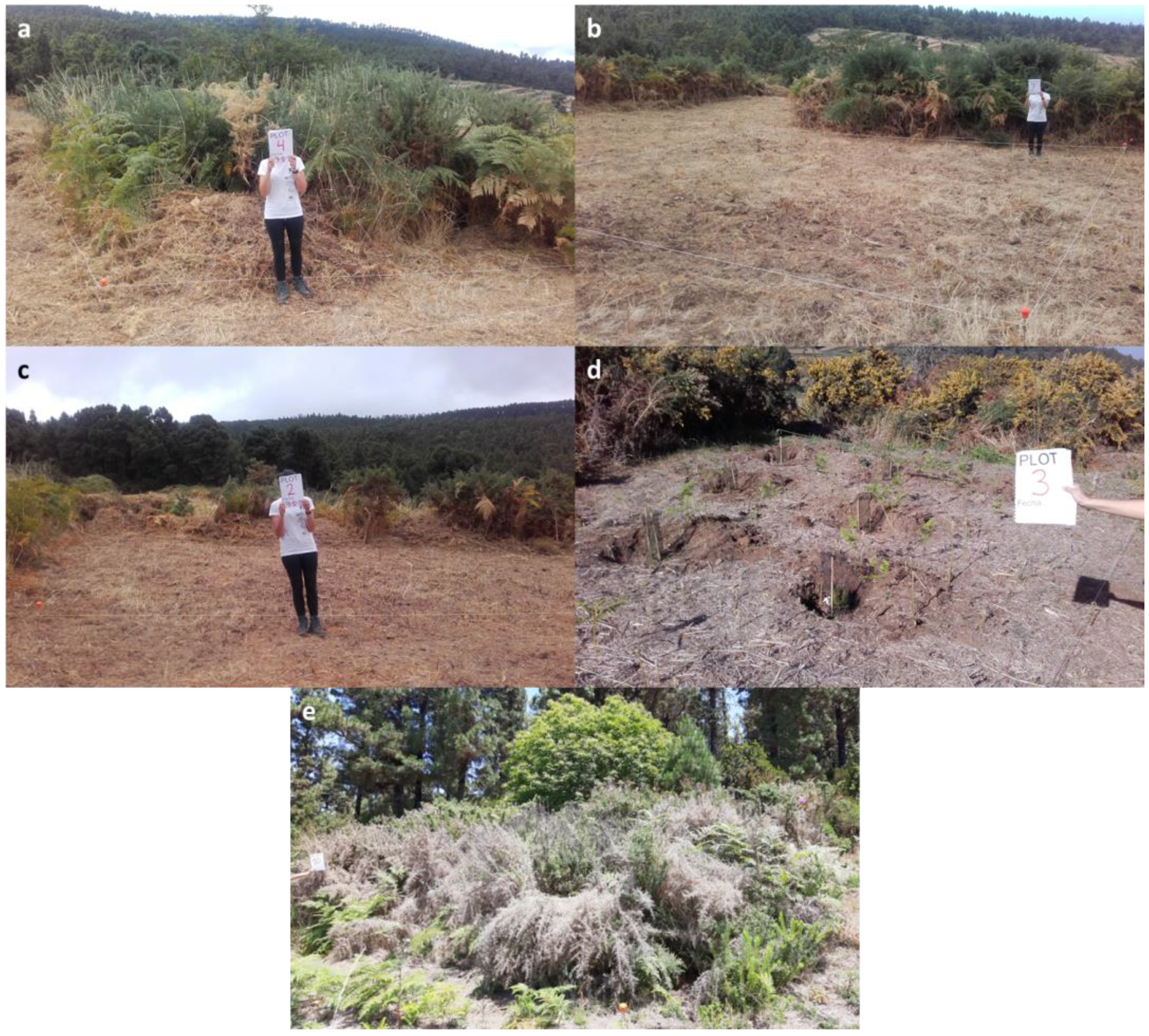 Agriculture 14 01683 g002