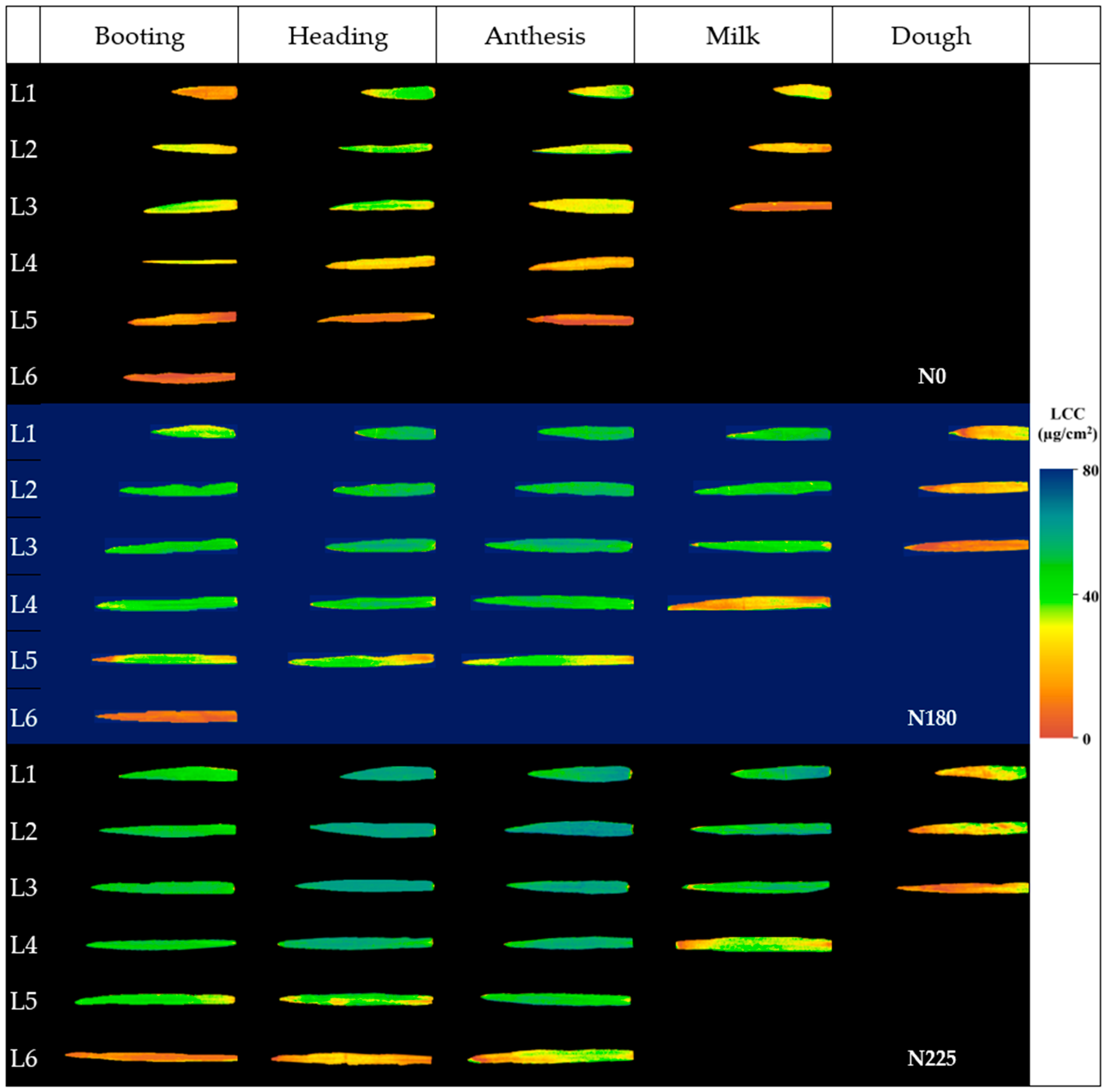 Agriculture 14 01685 g011