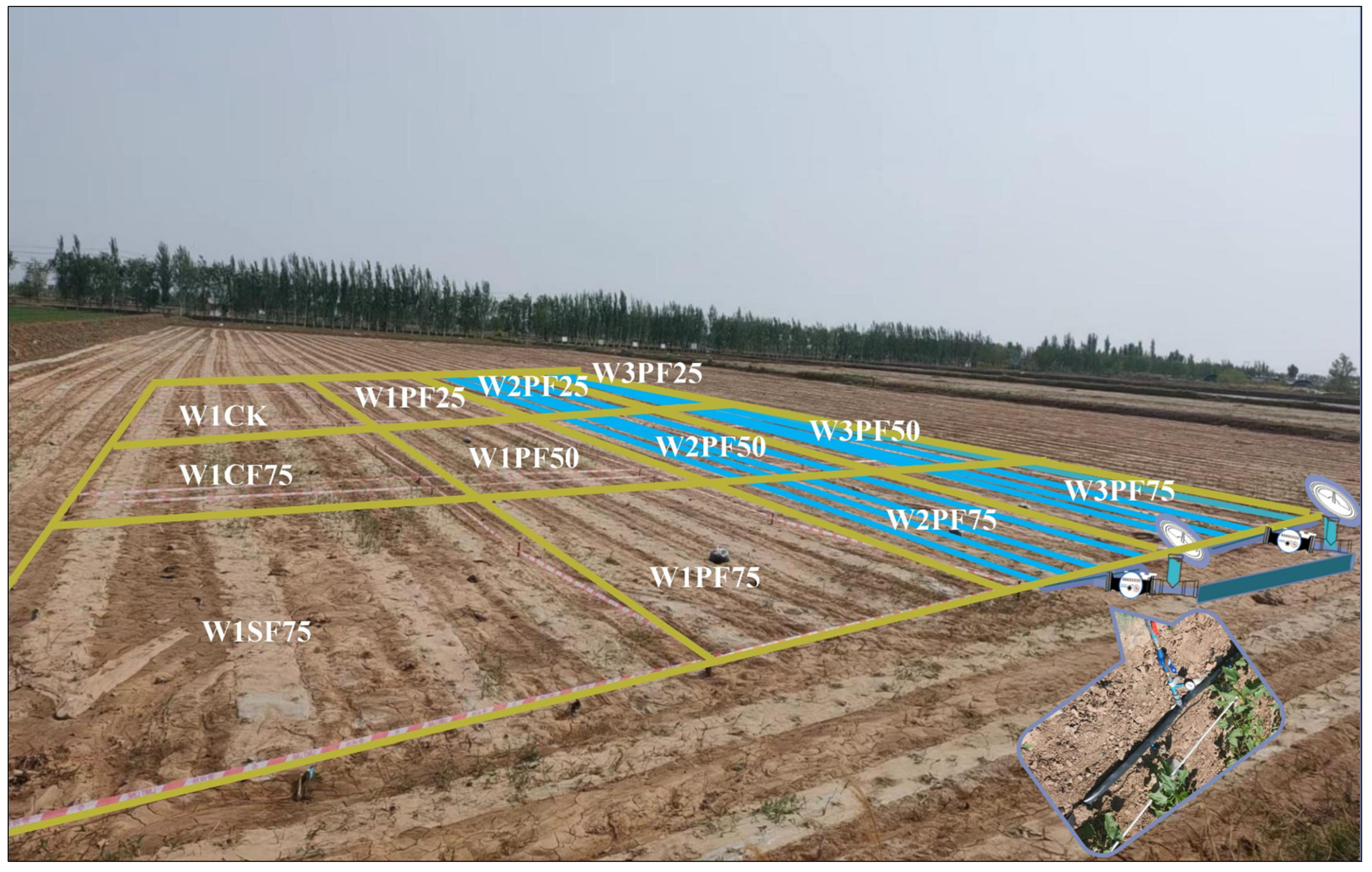 Agriculture 14 01694 g001