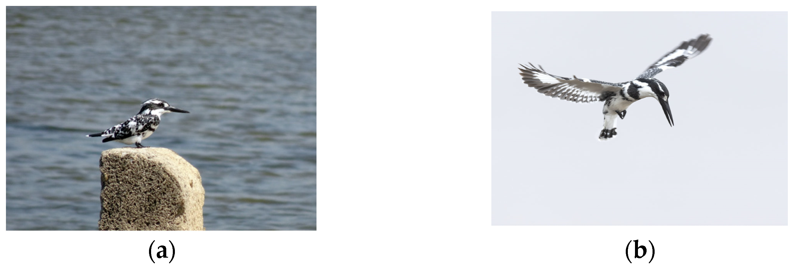 Agriculture 14 01701 g004