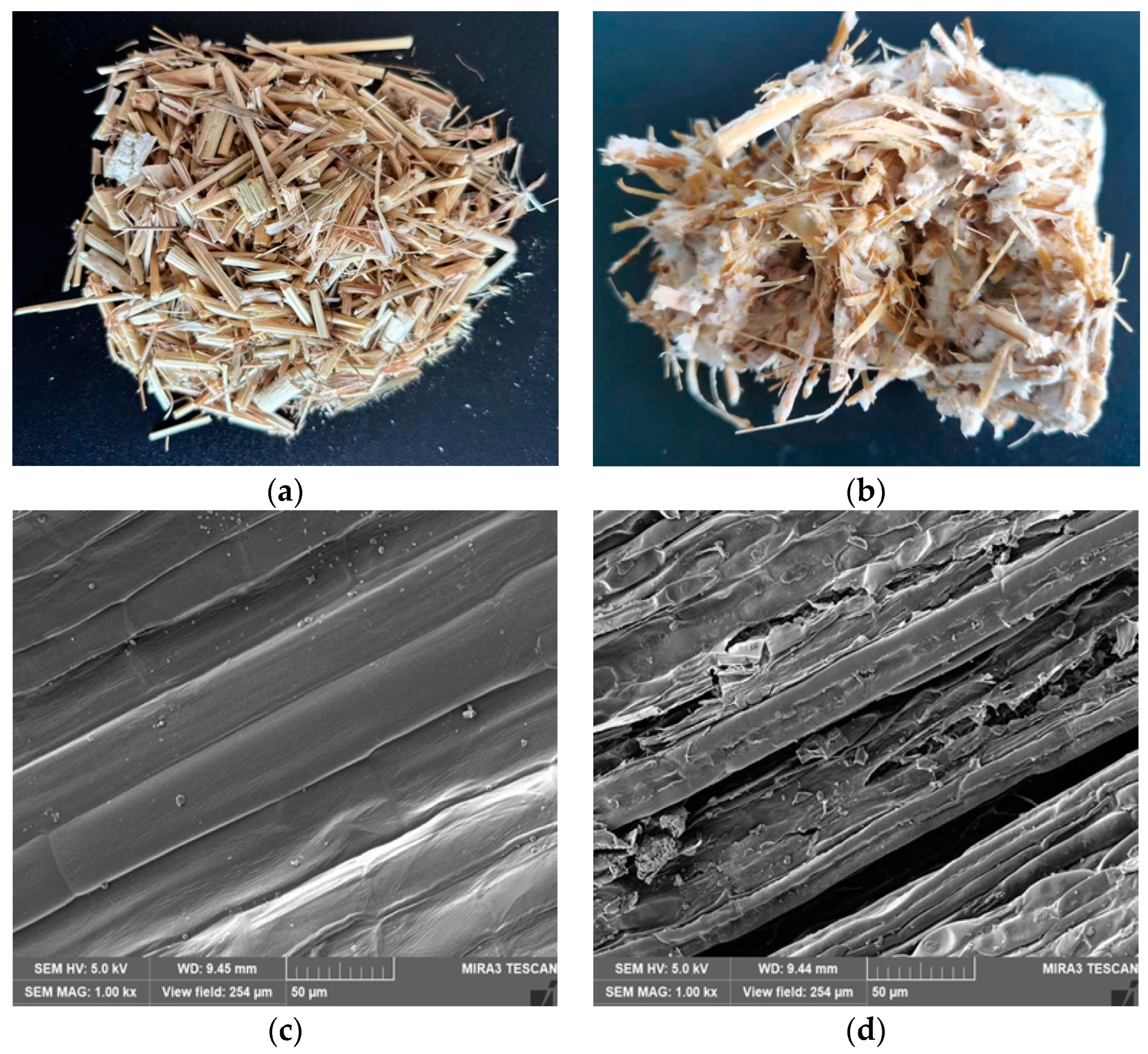 Agriculture 14 01702 g001