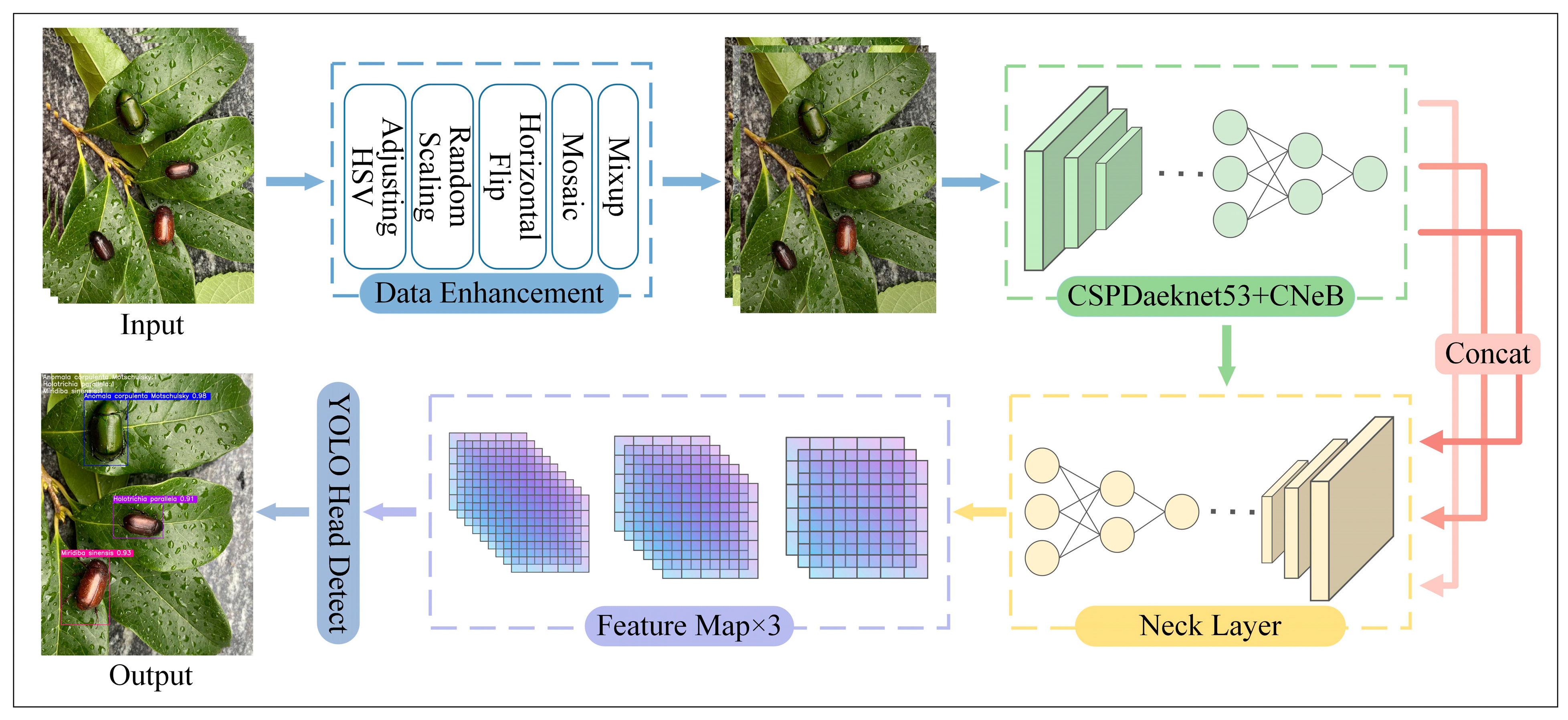 Agriculture 14 01710 g001