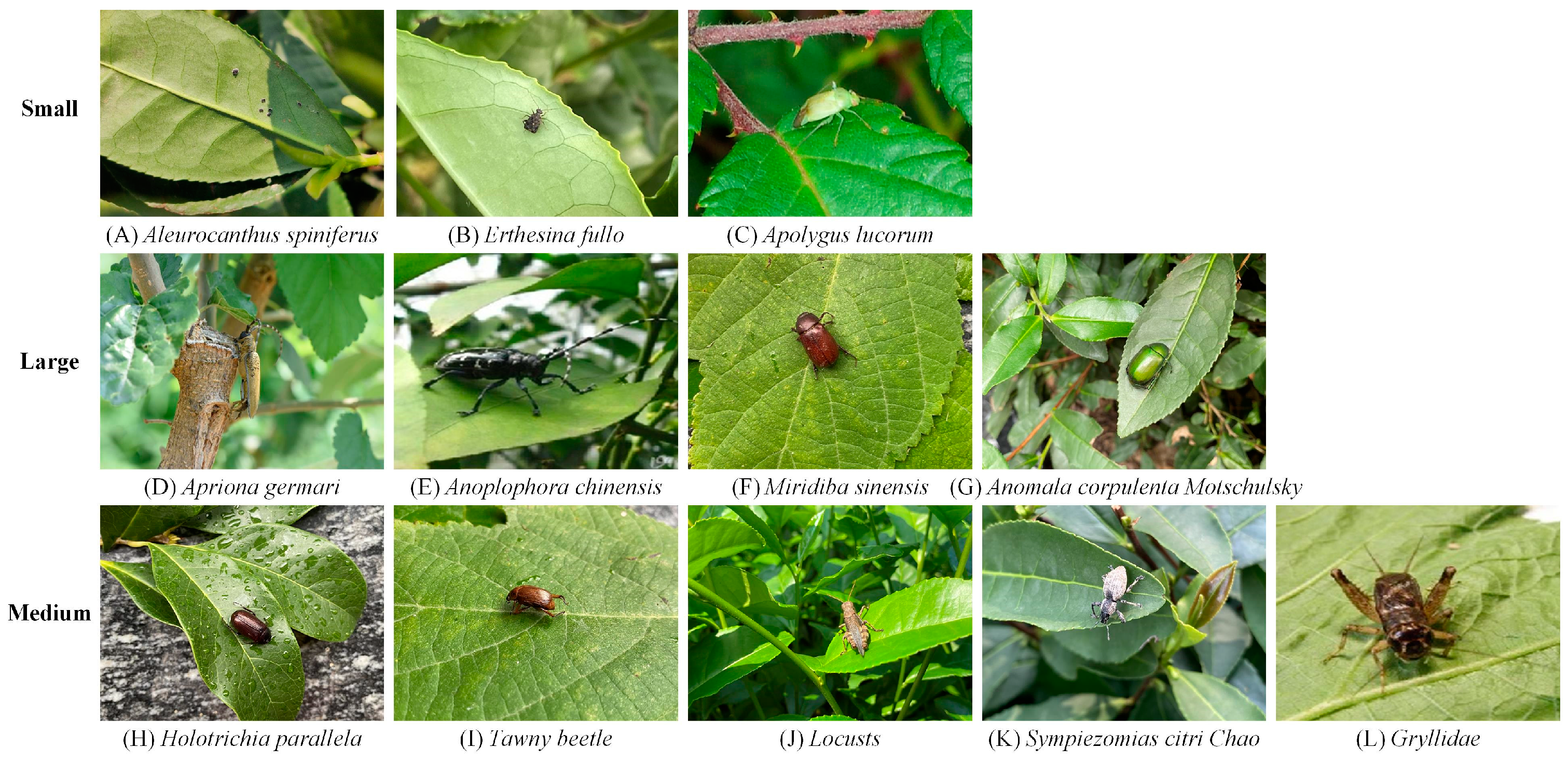 Agriculture 14 01710 g002