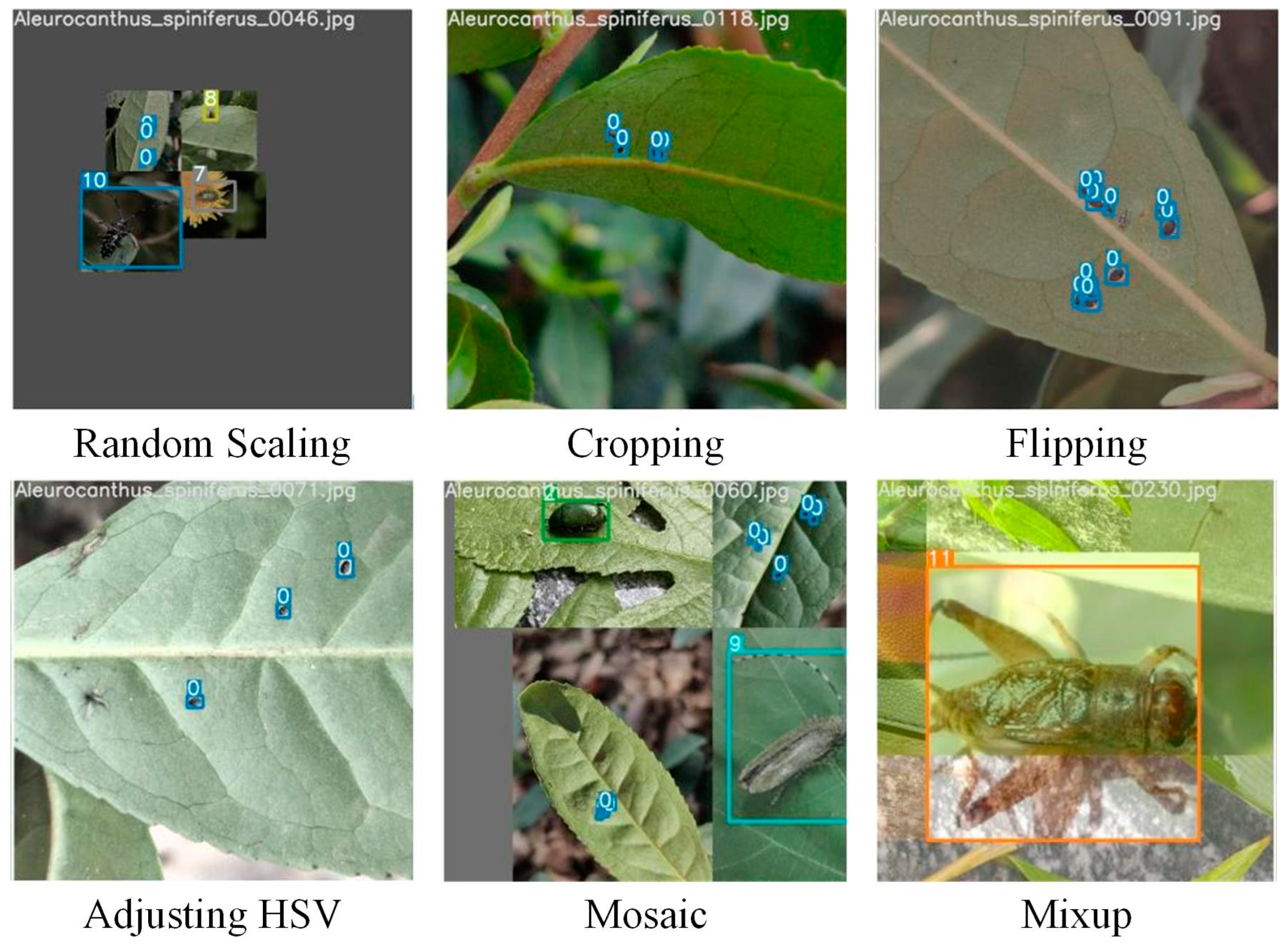 Agriculture 14 01710 g003