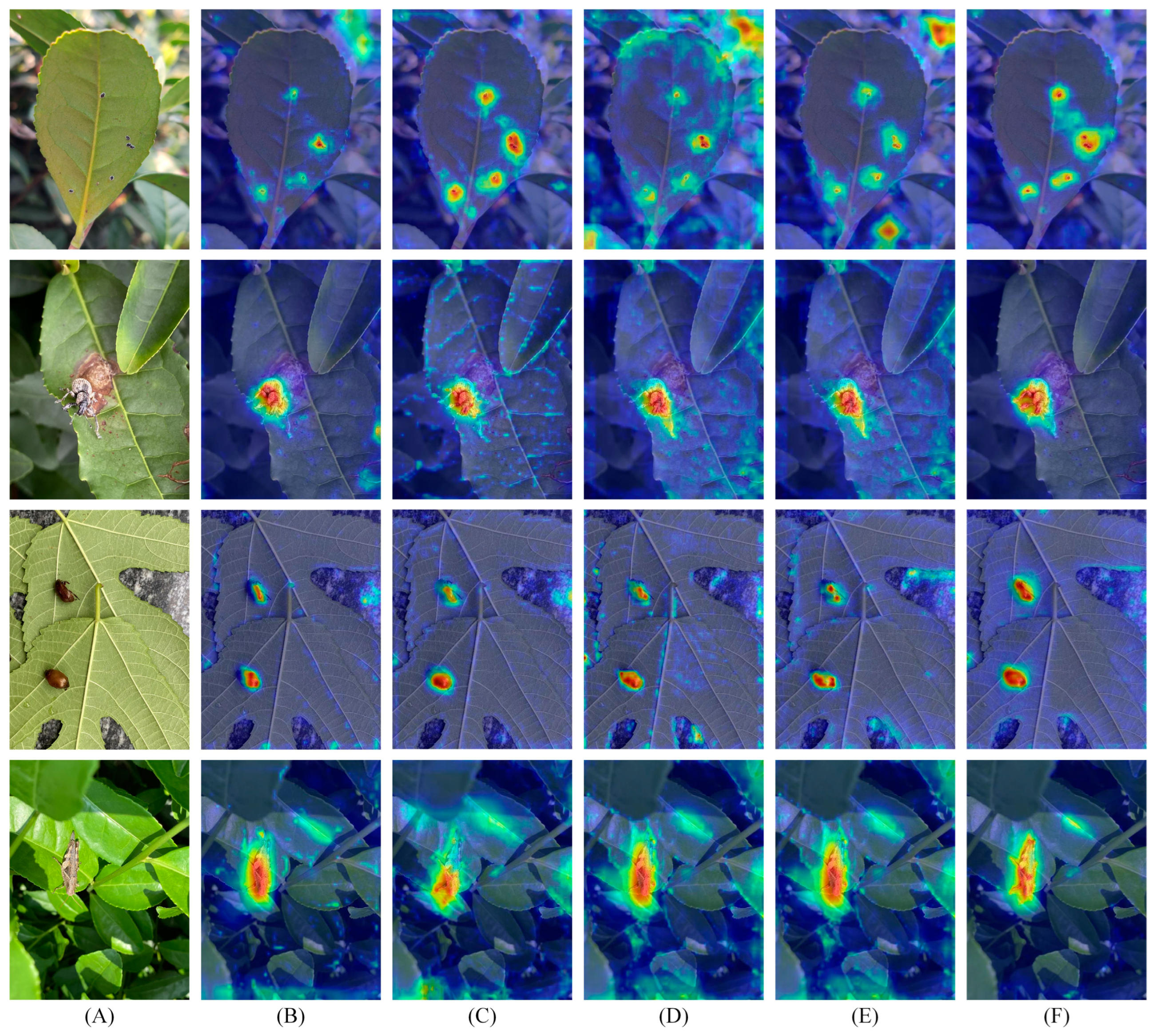 Agriculture 14 01710 g008