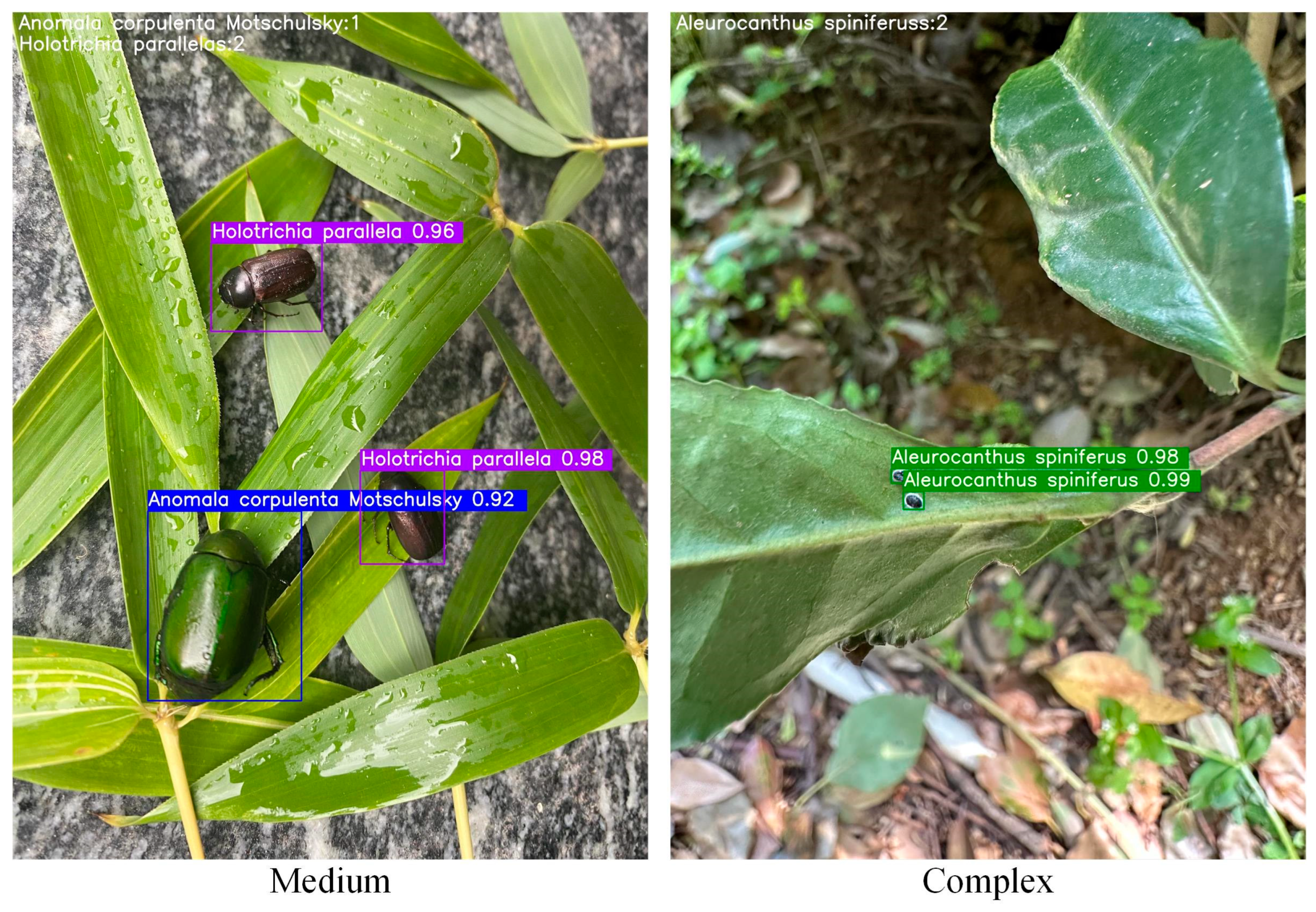 Agriculture 14 01710 g009