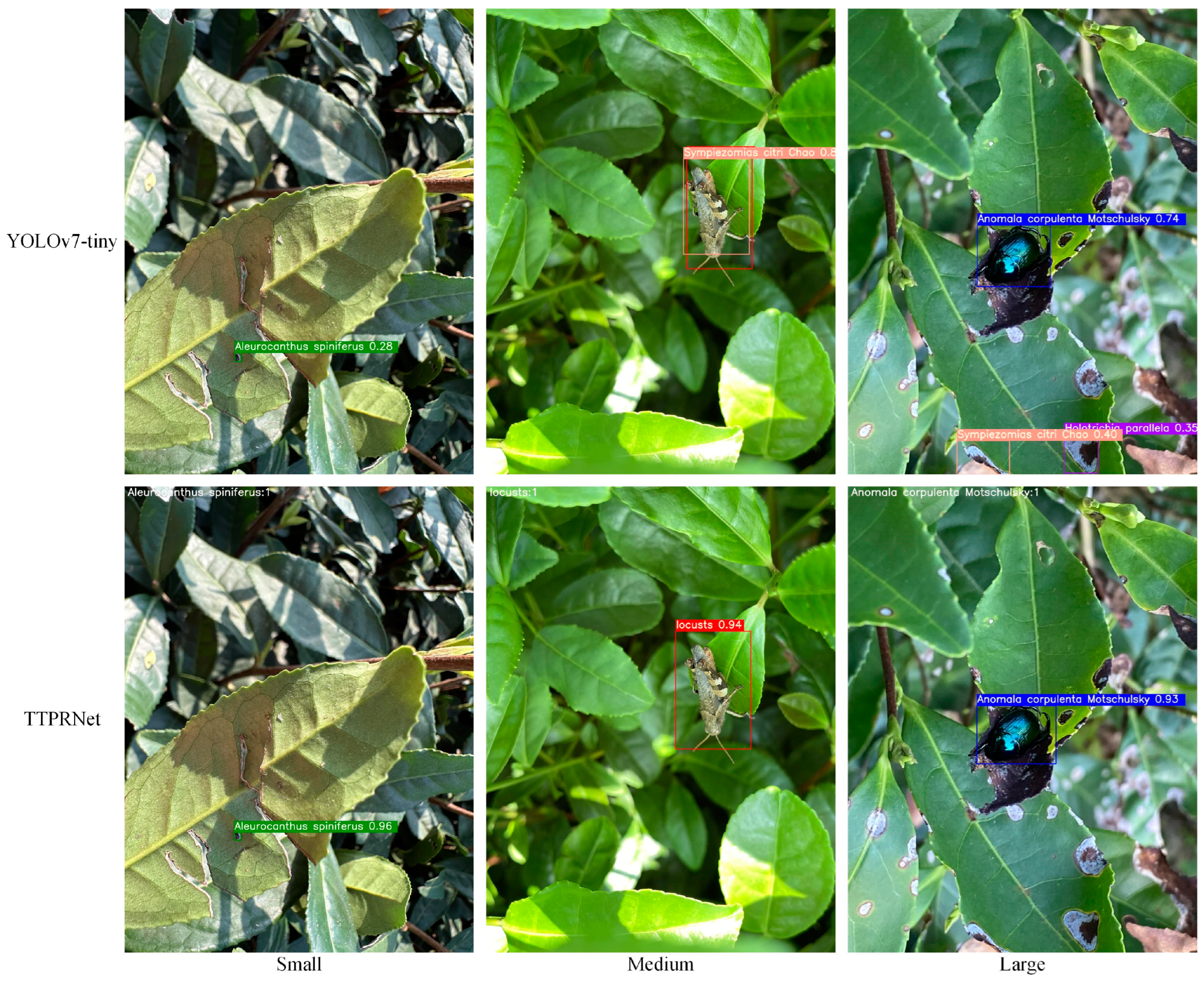 Agriculture 14 01710 g011