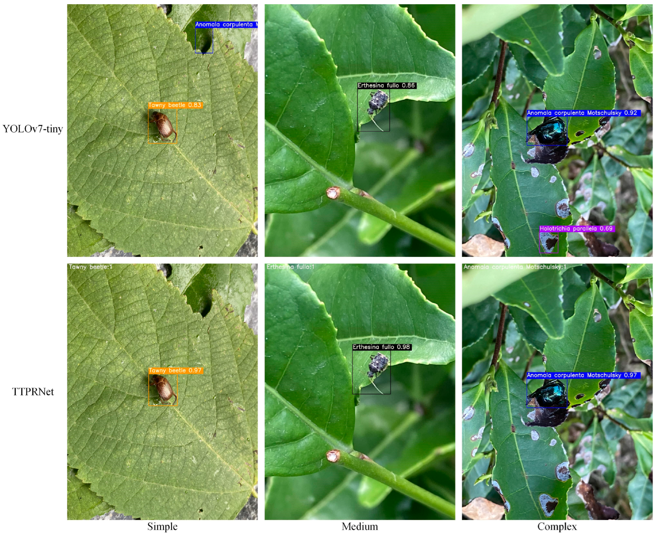 Agriculture 14 01710 g012