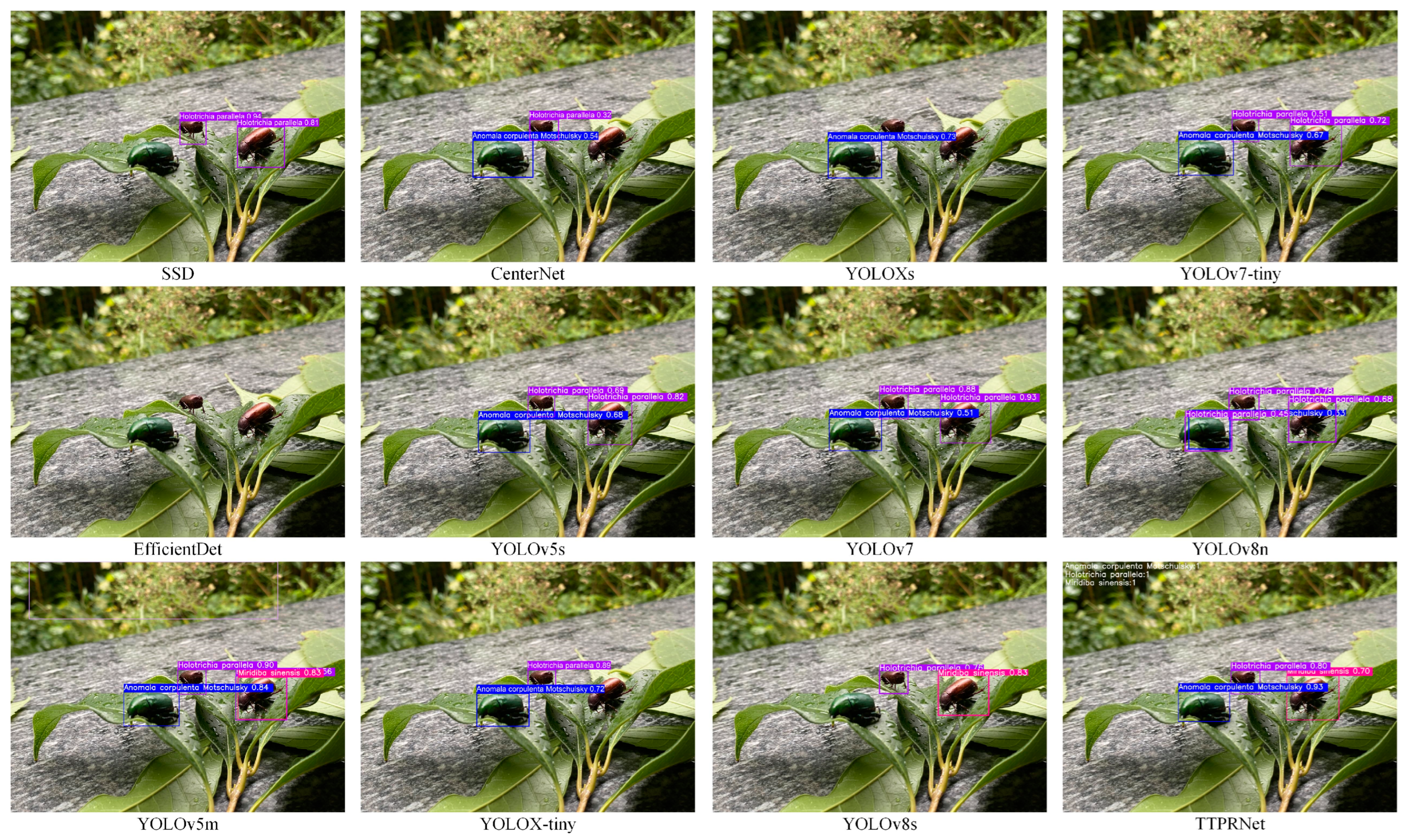 Agriculture 14 01710 g014