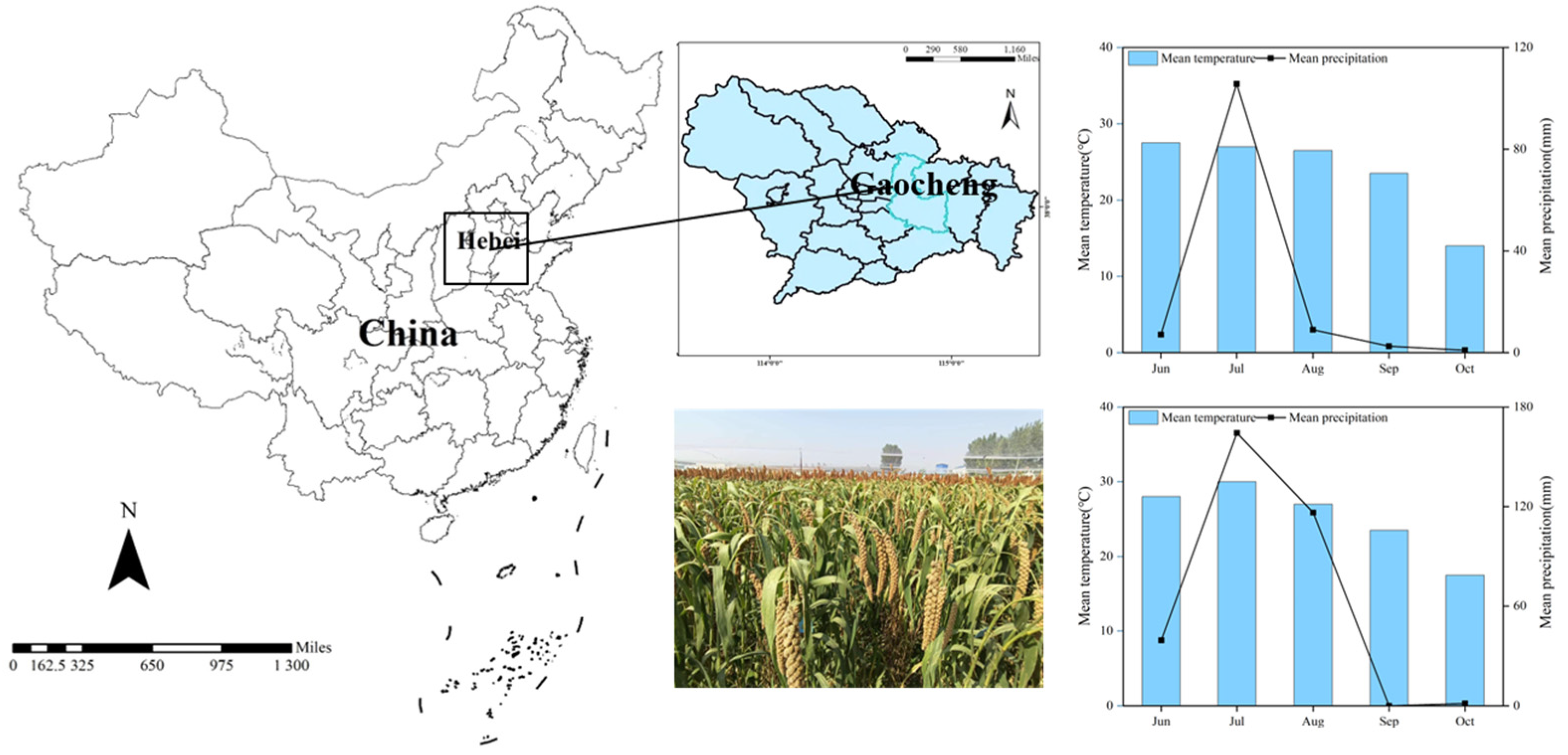 Agriculture 14 01711 g001